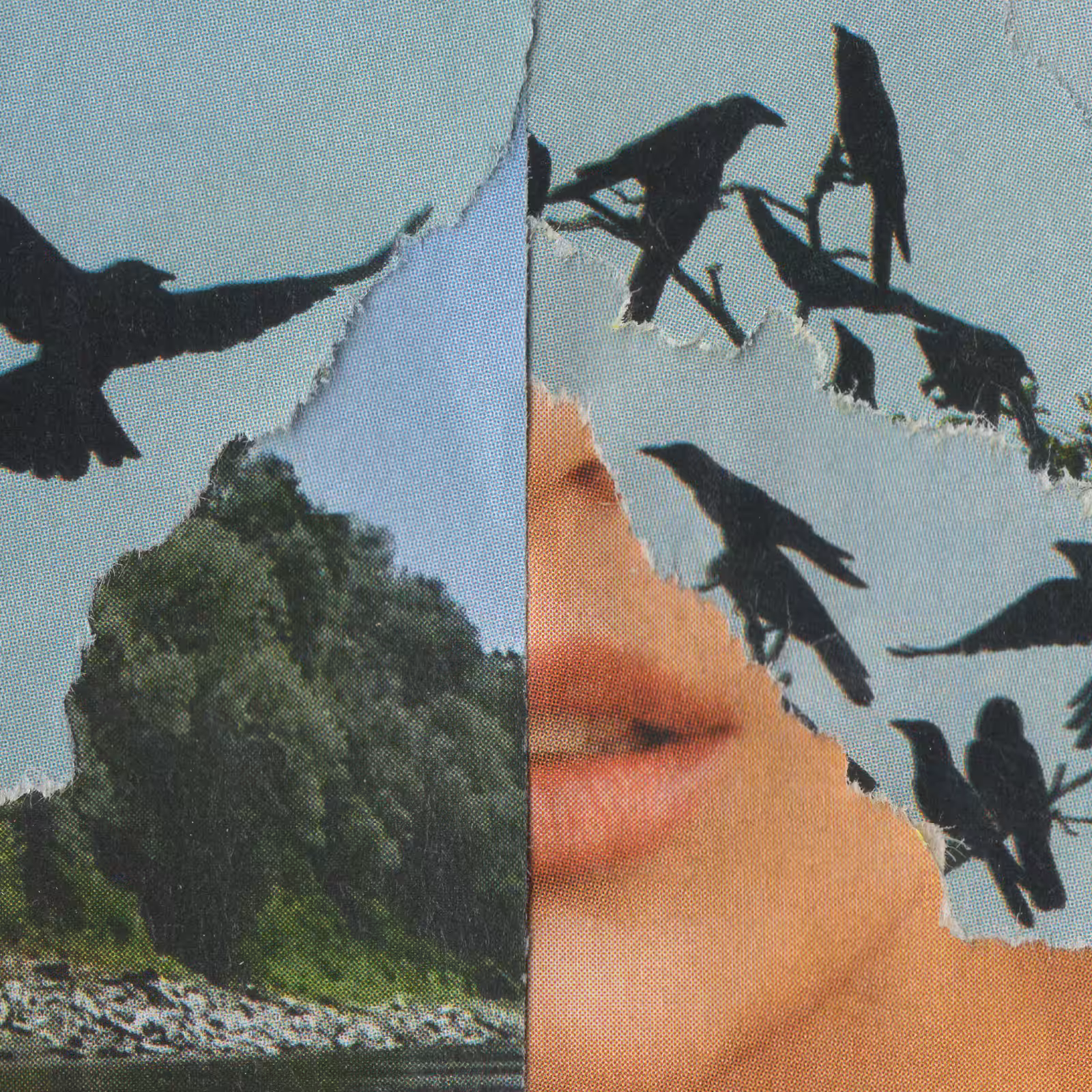 1mouth analog #164