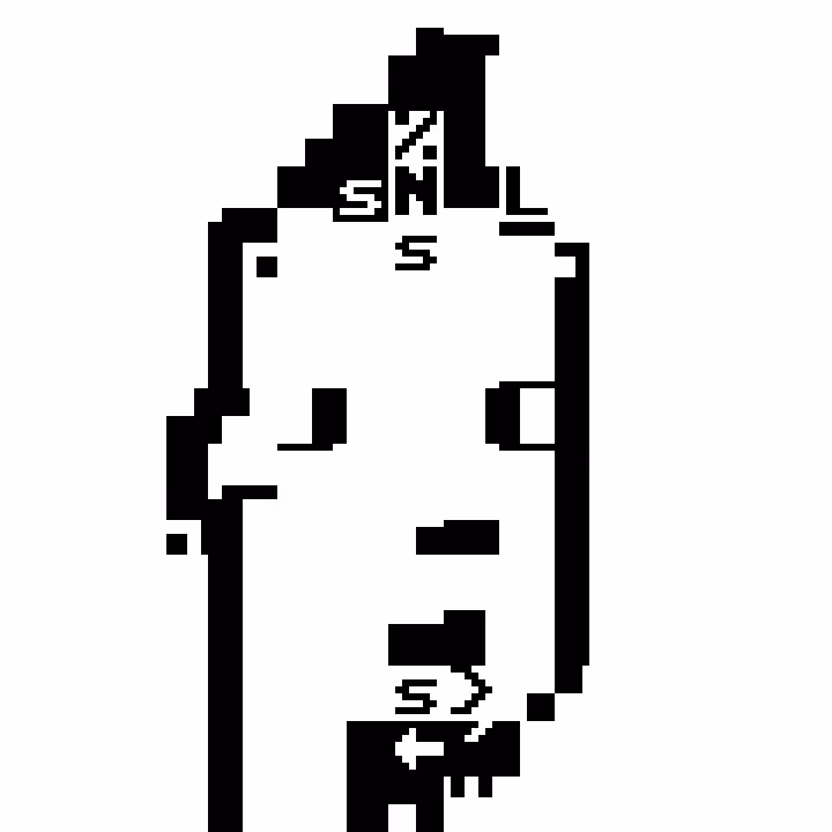 PET Punk 496