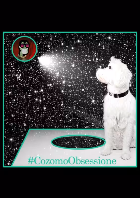 COZOMO OBSESSIONE N282