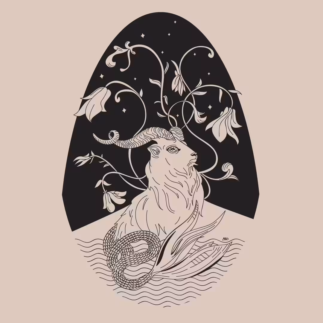 FXFXFX Insta Capri - B
