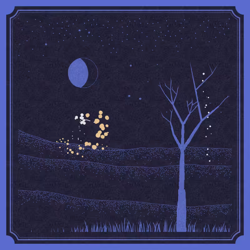 Fire Card #5