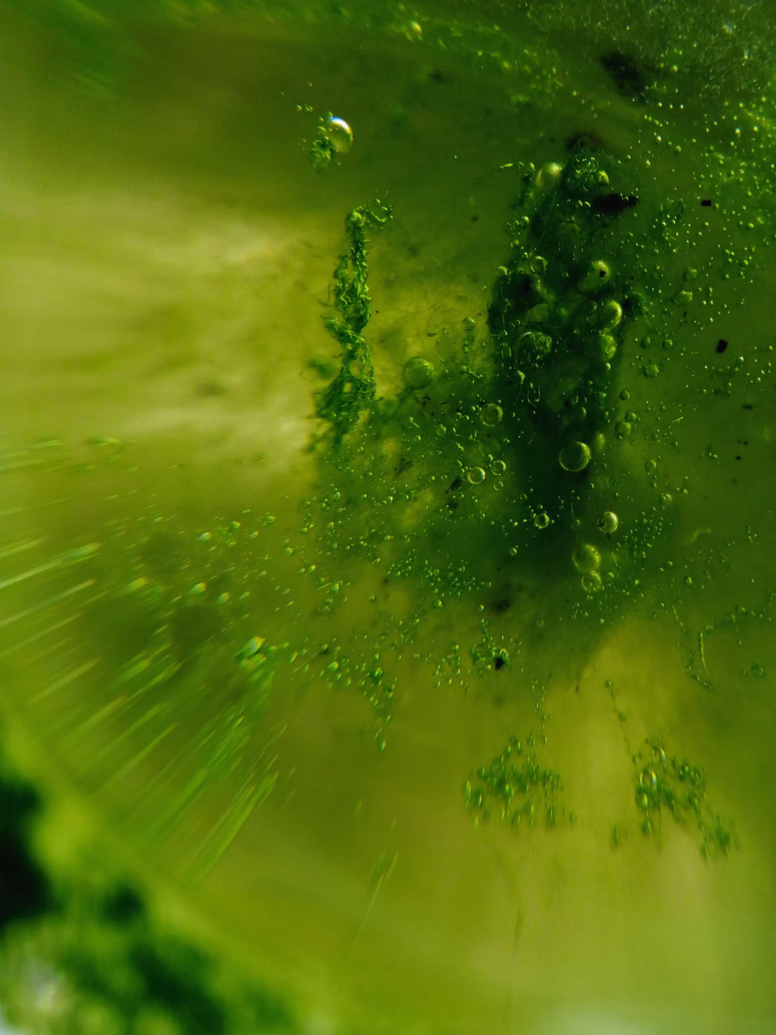 Submerged Green