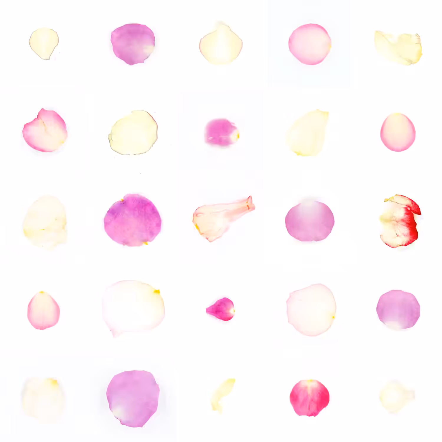 Infinite Petals 5x5#2075