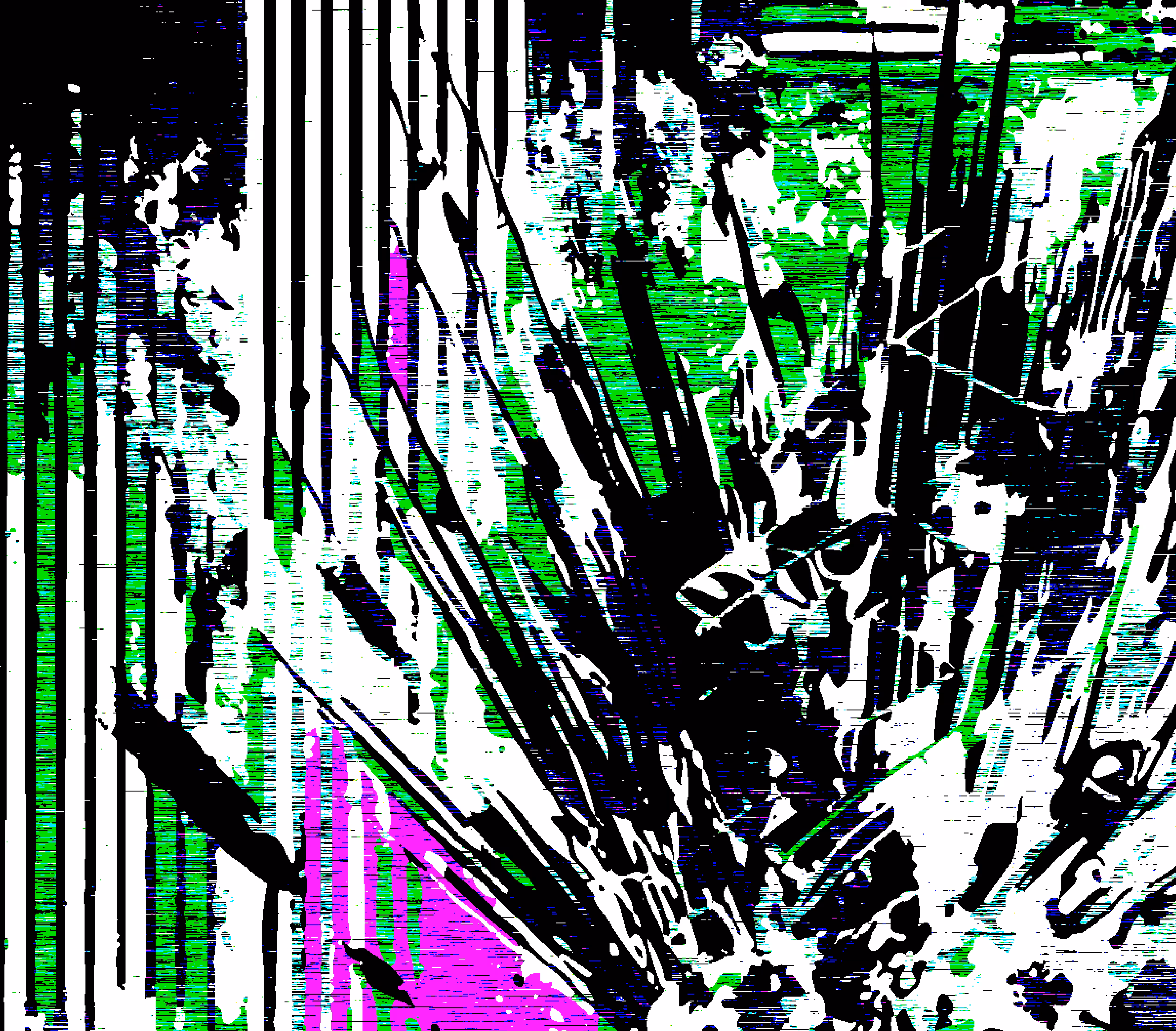 LinEAR_