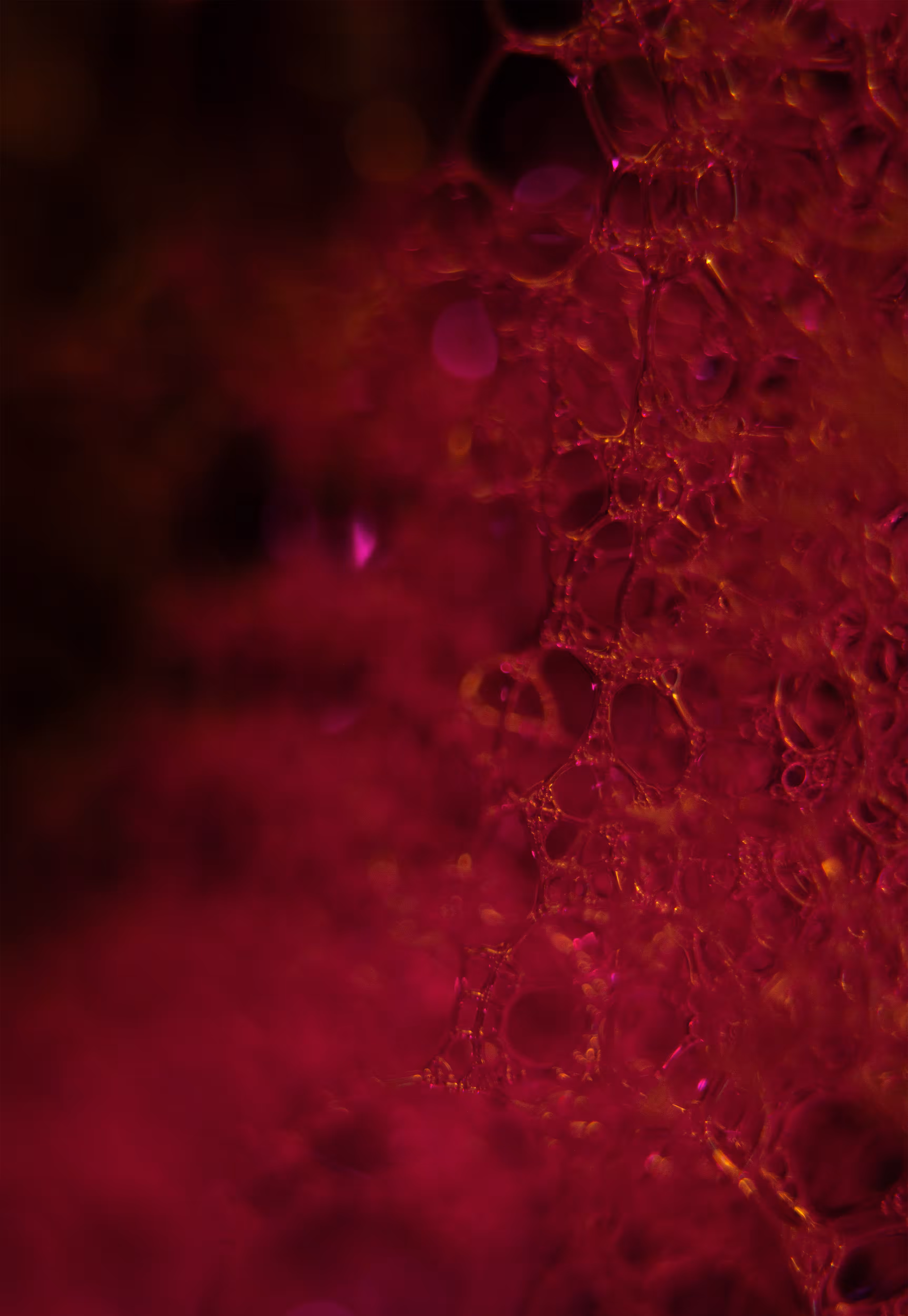 Abstract World of Soap Bubbles: #142 Bubbles
