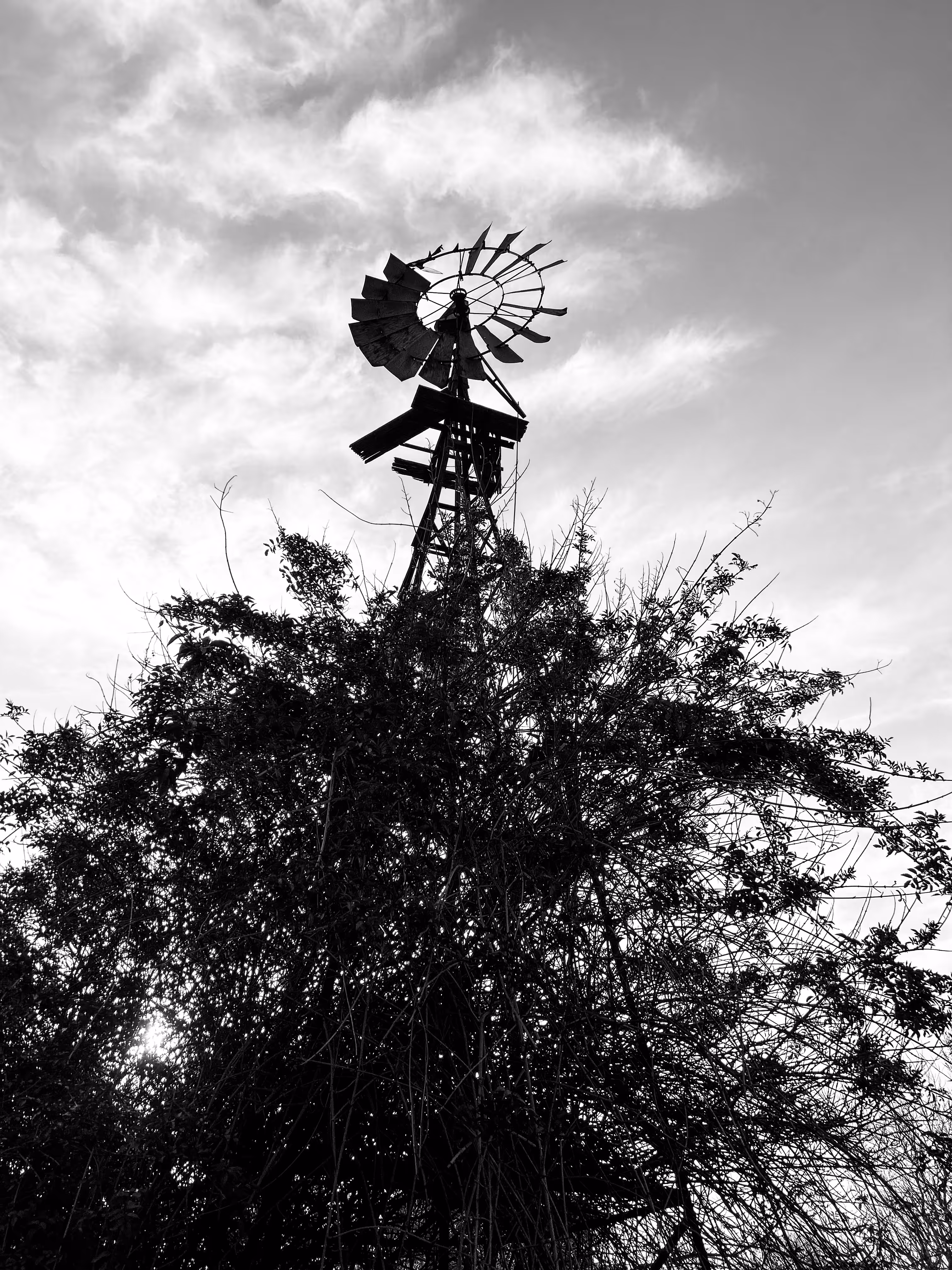 Remnants