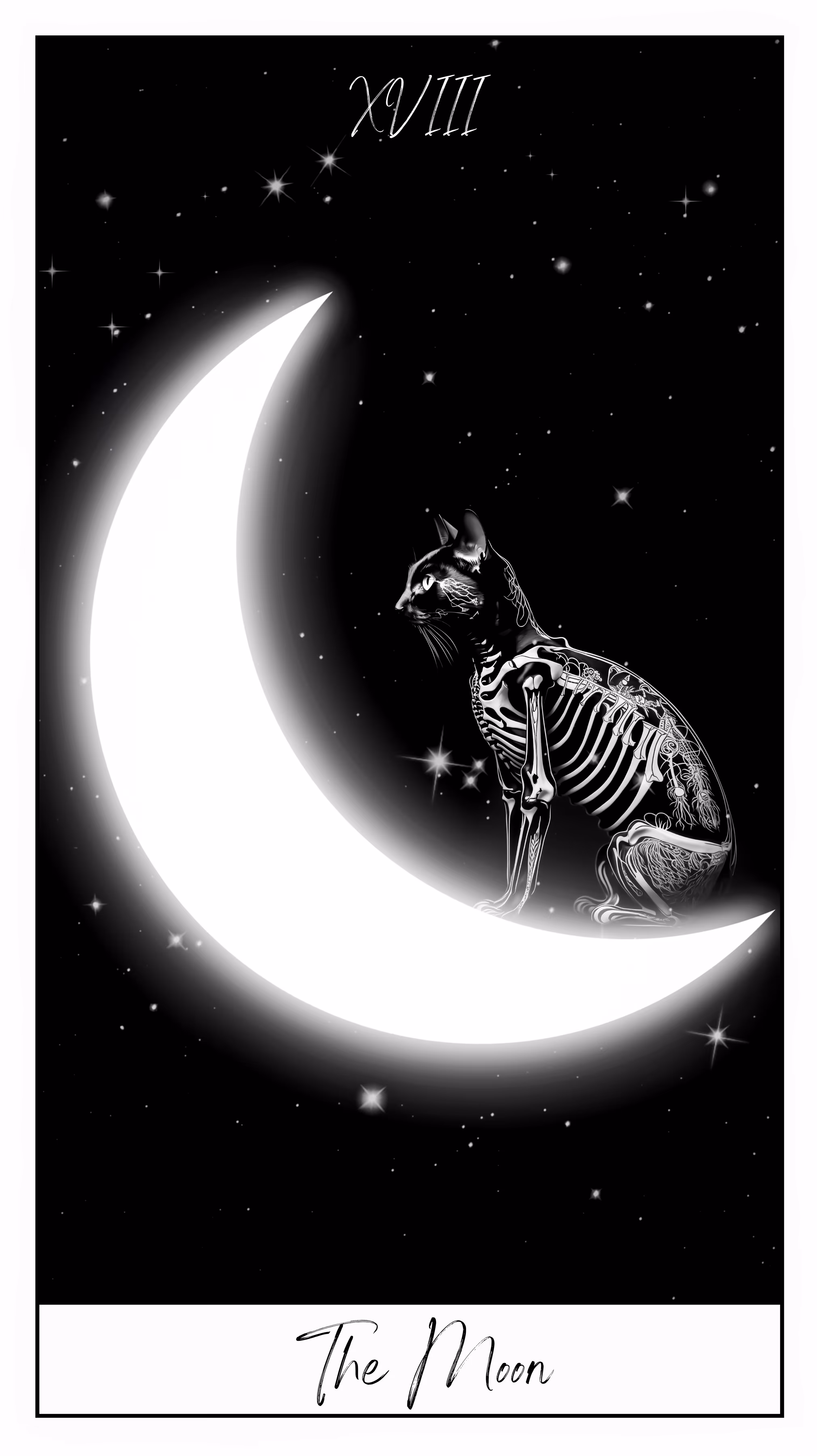 The Moon