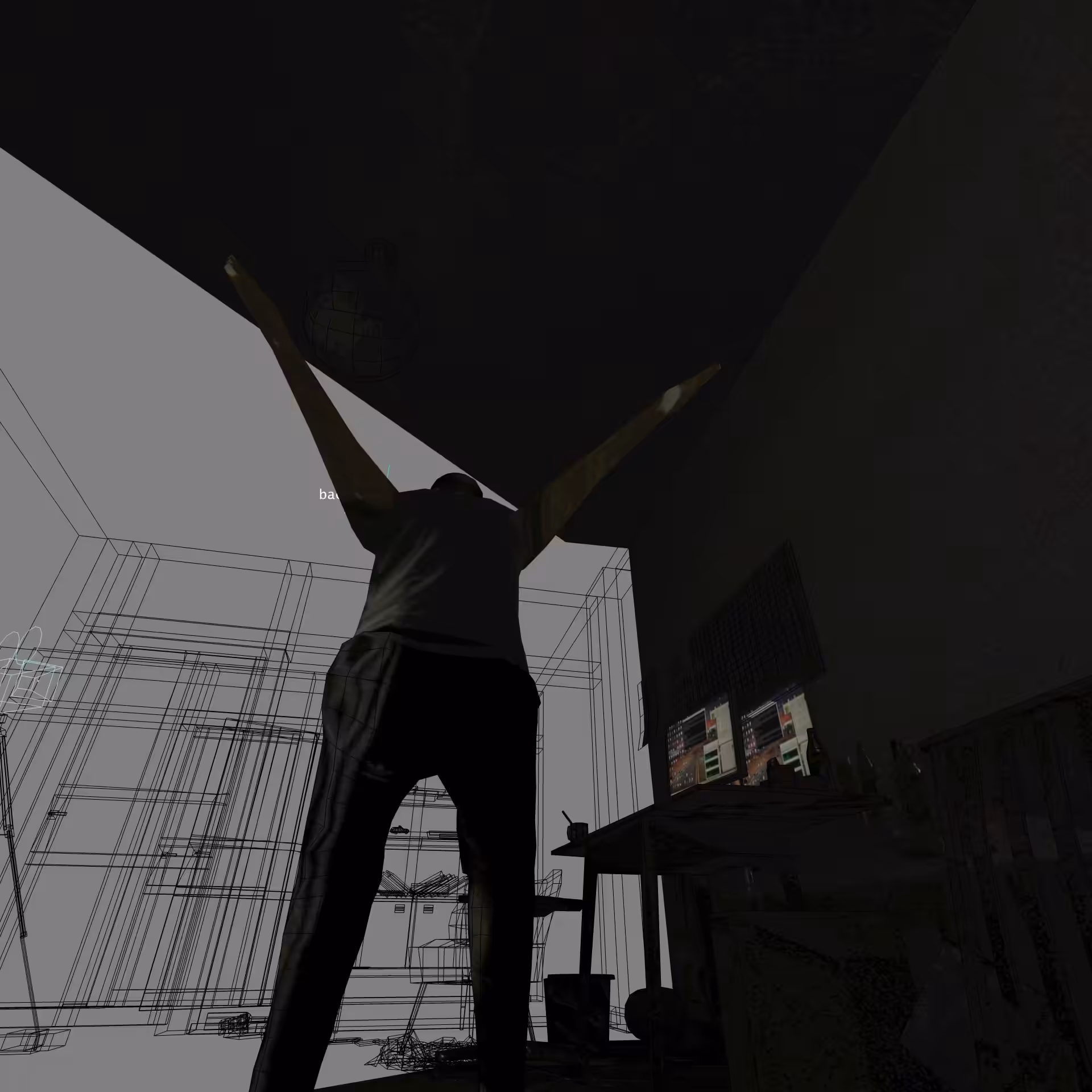 backflip_2700