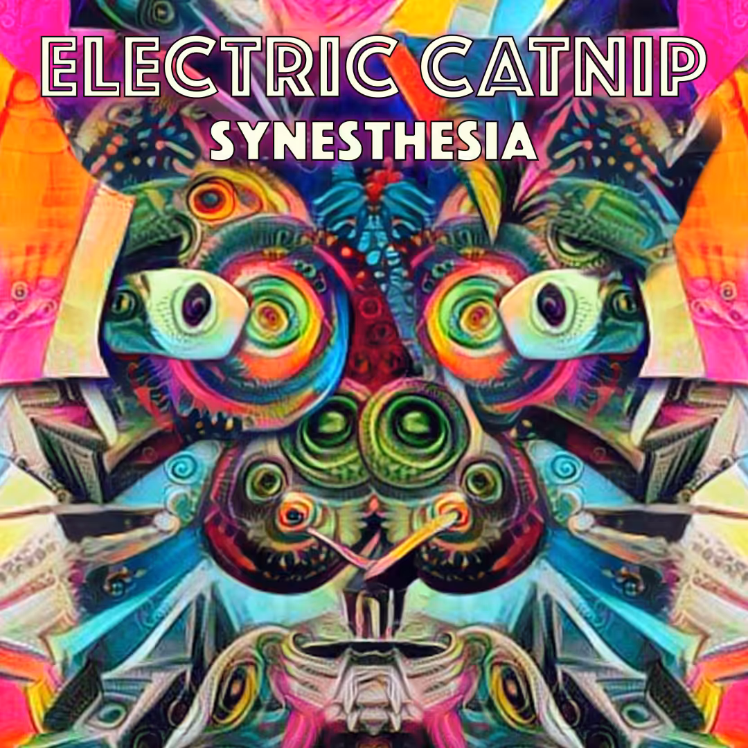 Electric Catnip: Synesthesia Album Cover