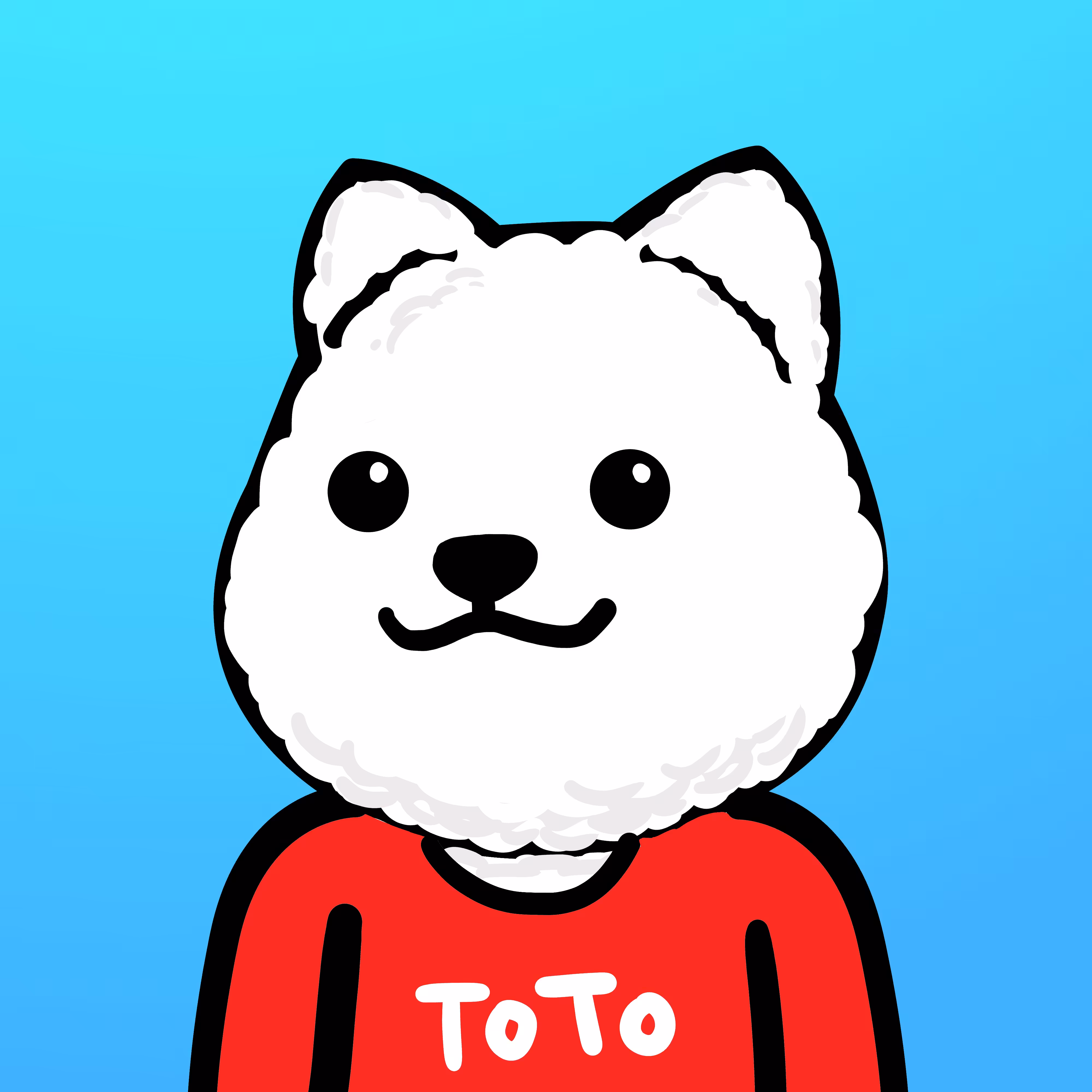 bobo Shiba x toto