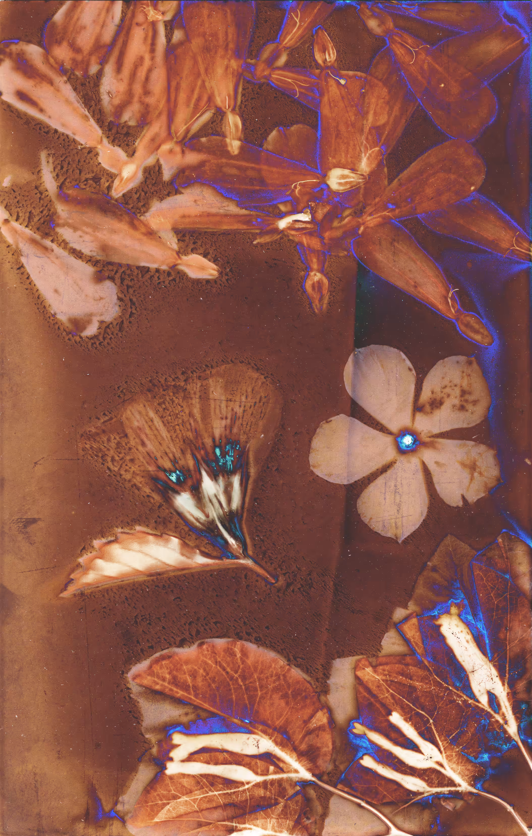 Magic Specimen