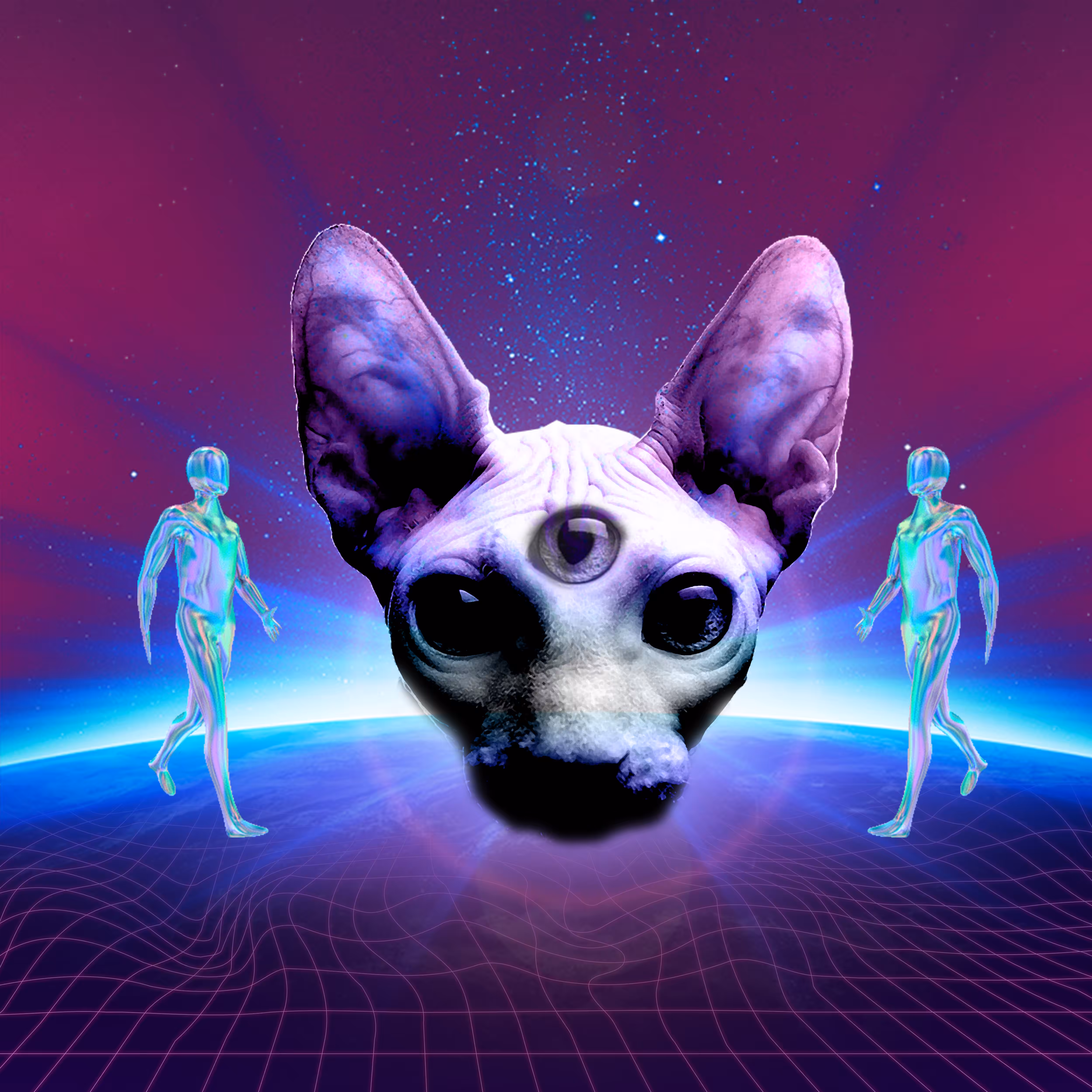 C16H16N2O2