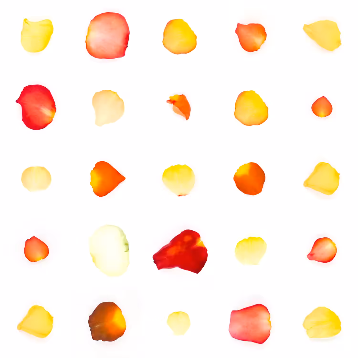 Infinite Petals 5x5#20357