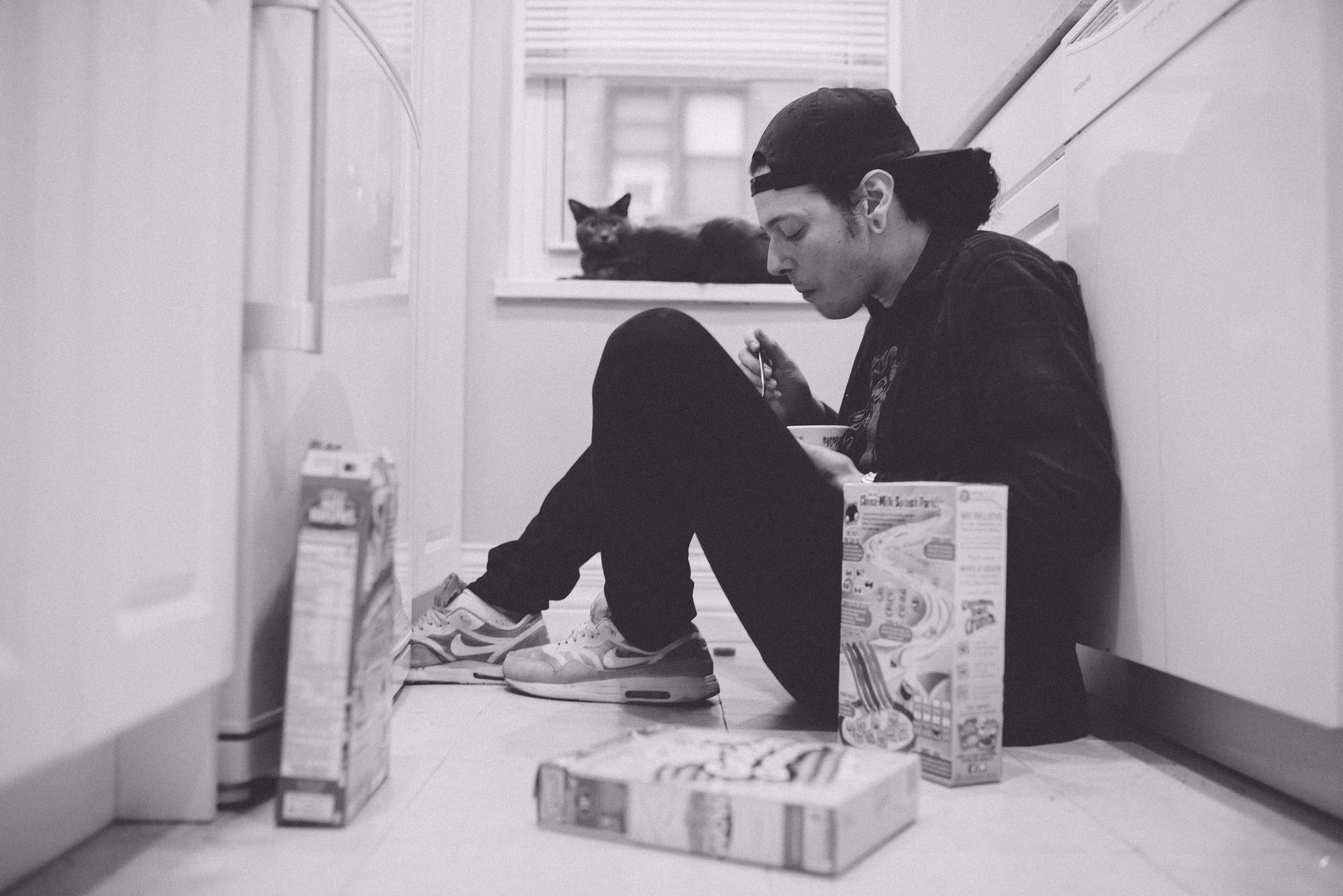 Cereal and Cats / 2015