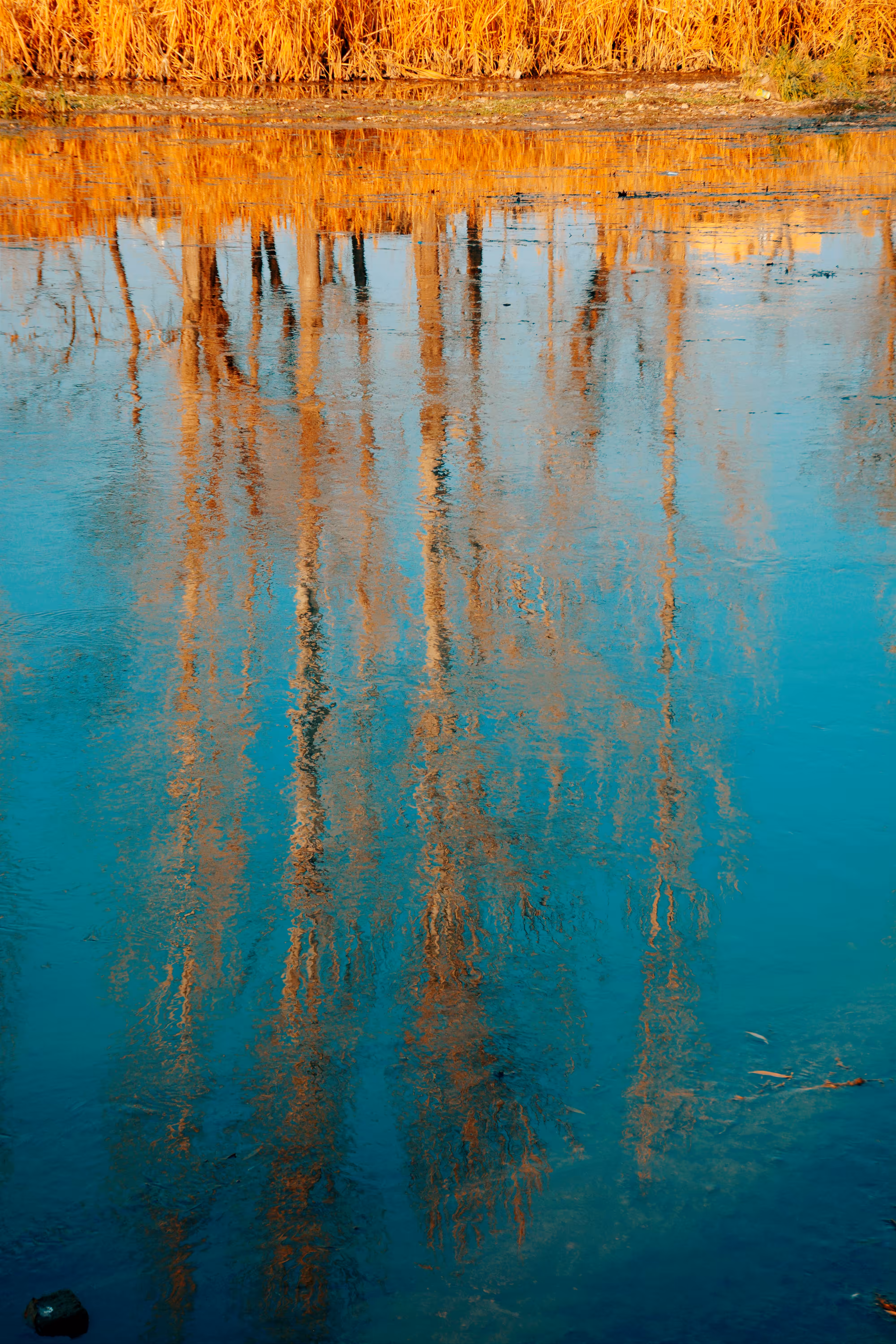 Turquoise river