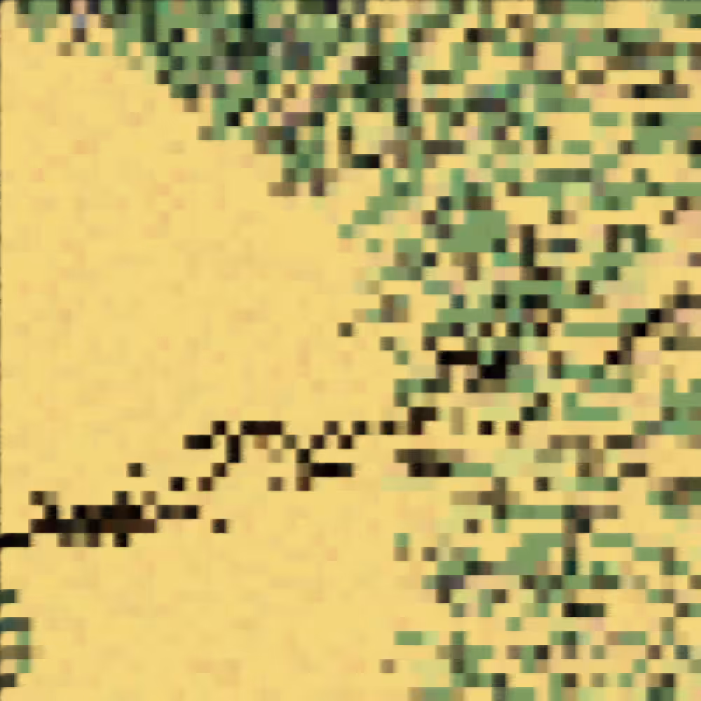 Pixel Walk #41