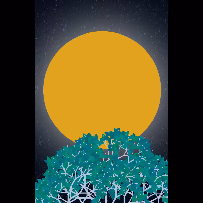 Moonlight Sonata #79