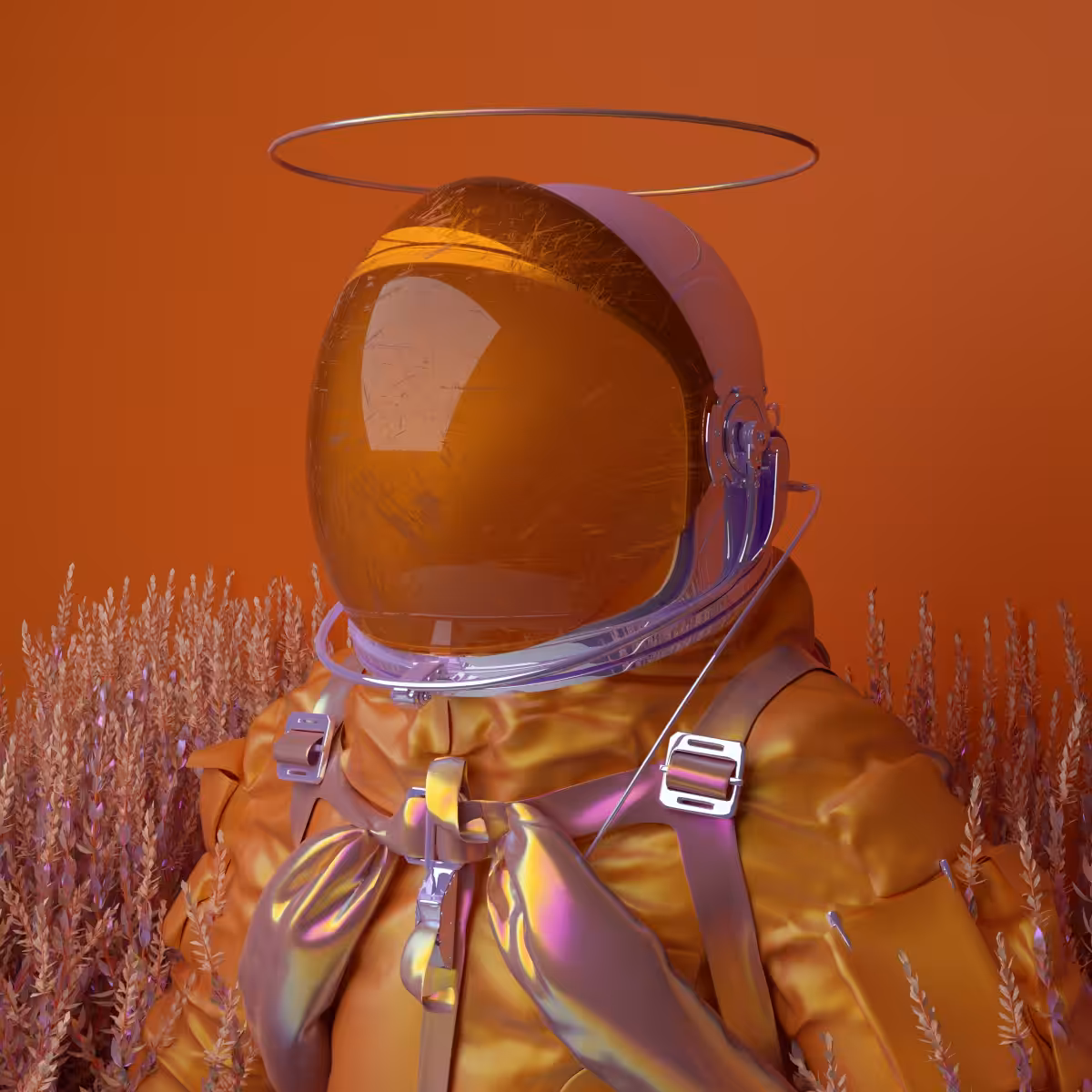 Portrait photograph from space man No.13