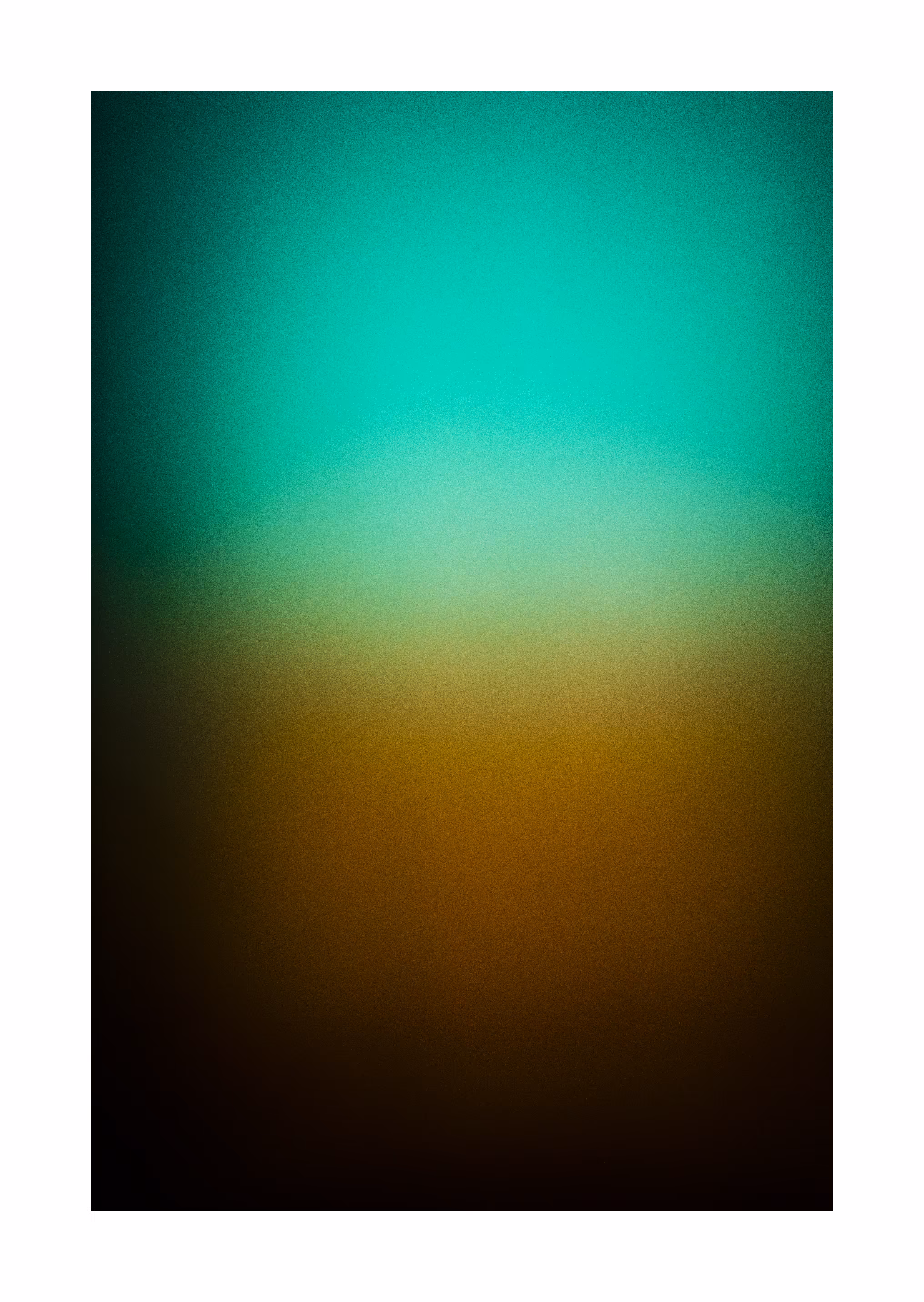 Sin título (Untitled)