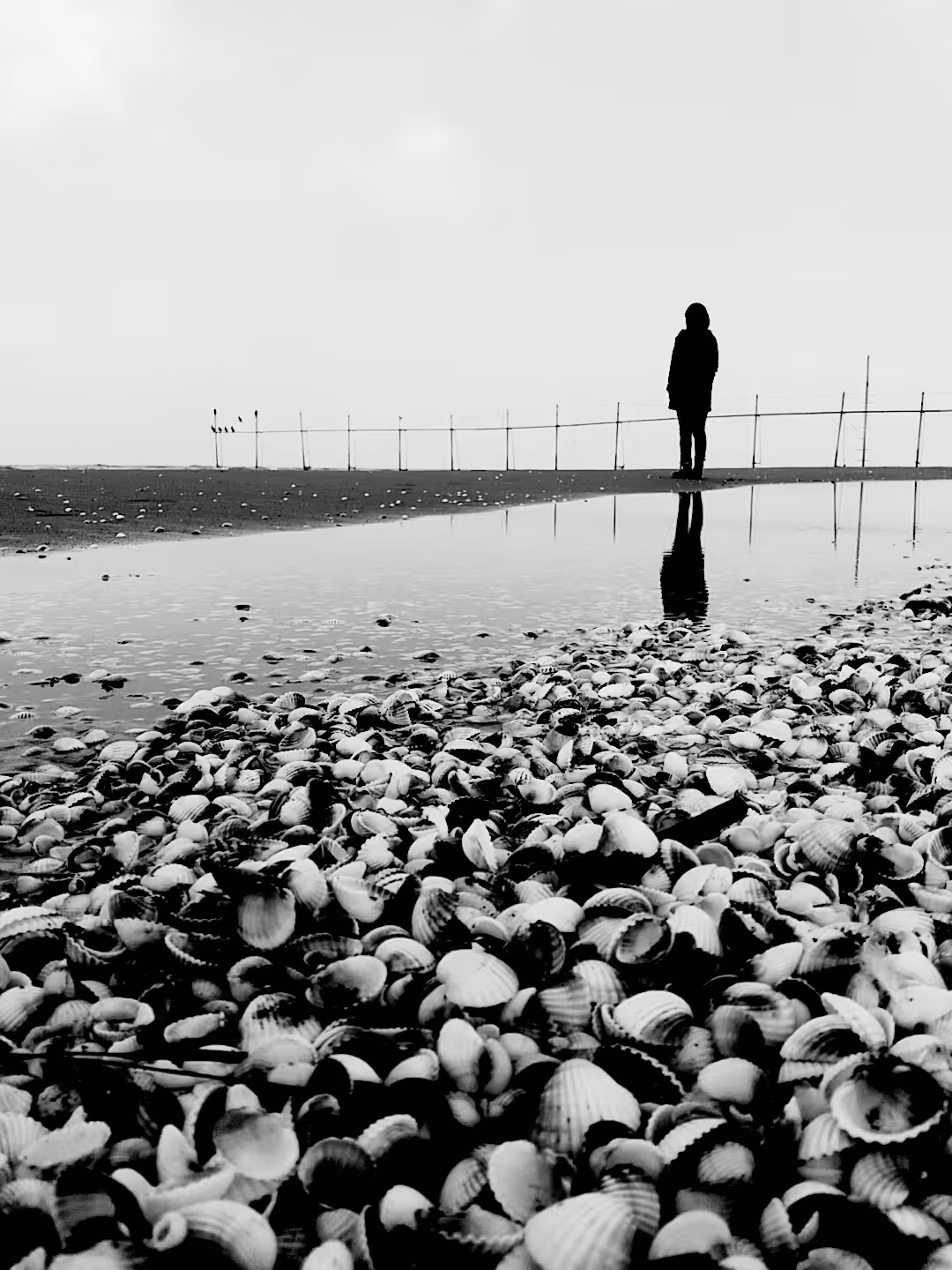 Left Alone #3
