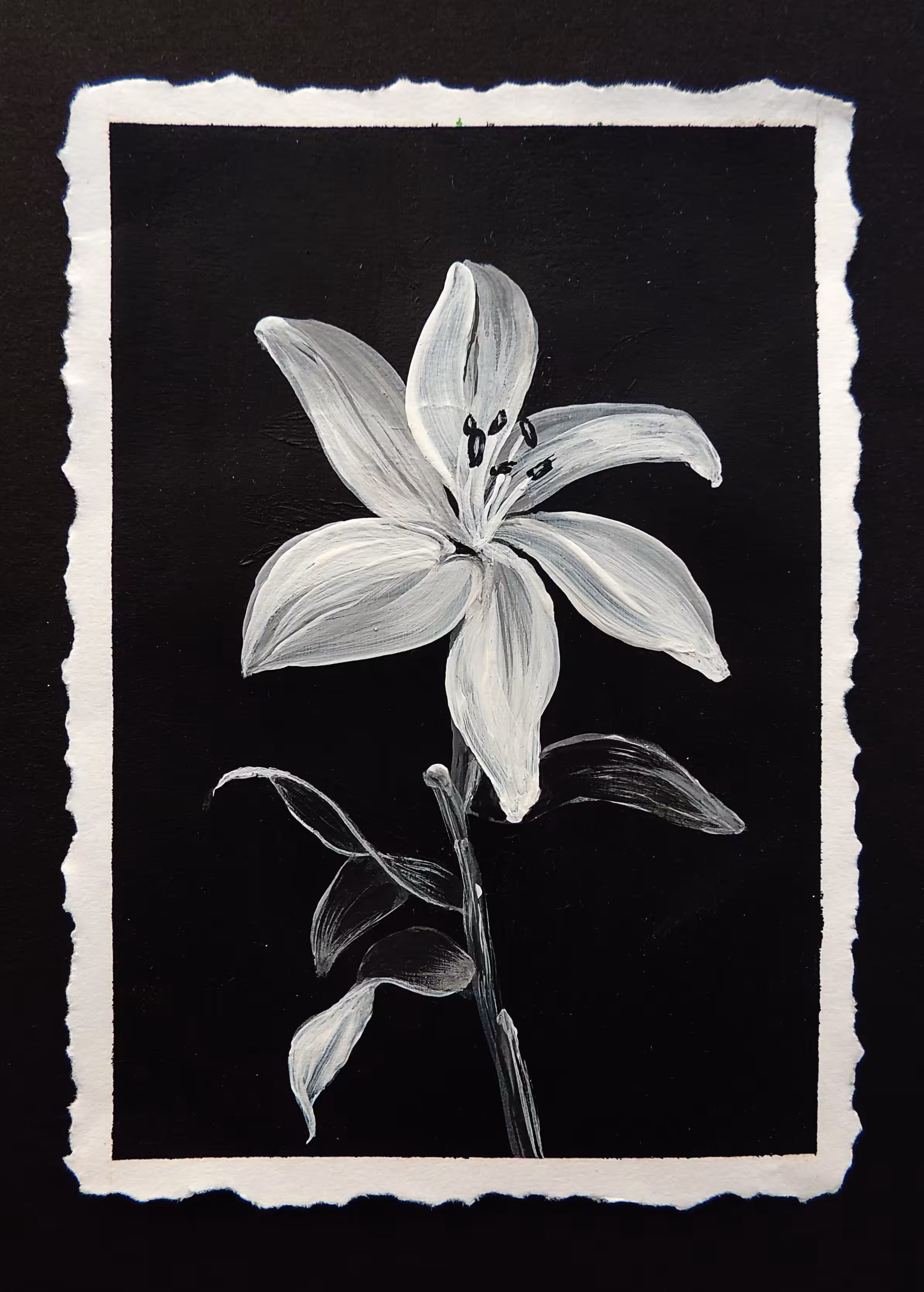 Lily
