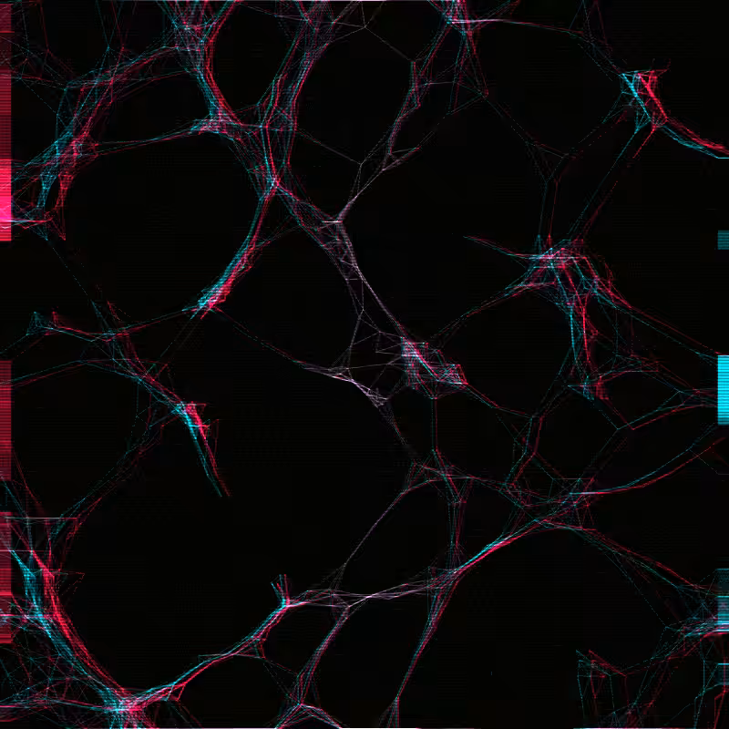 Spider Web #5