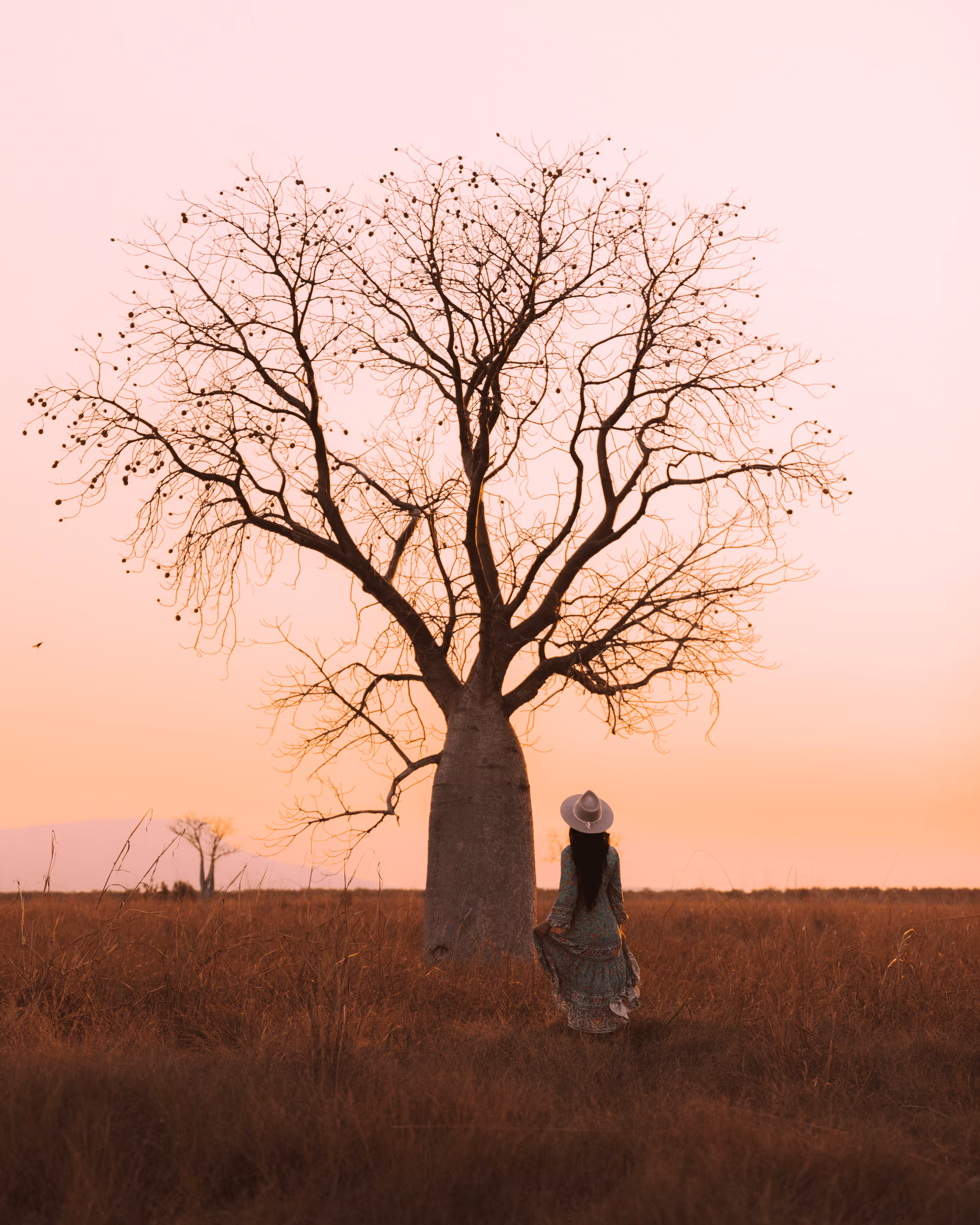 #18 The Sacred Tree