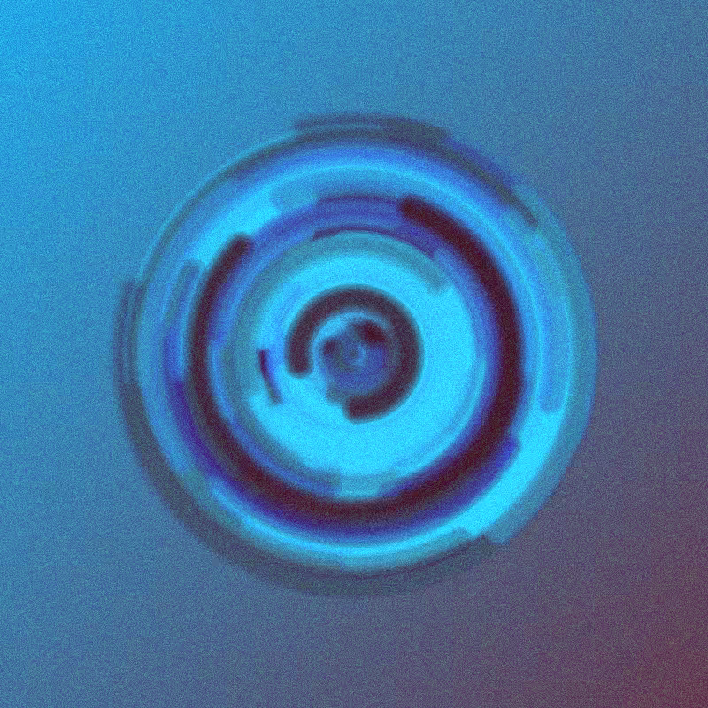 Wisp #455
