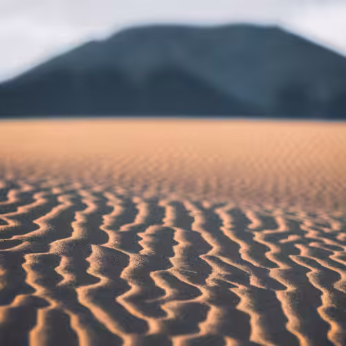 DUNE - 09, flow