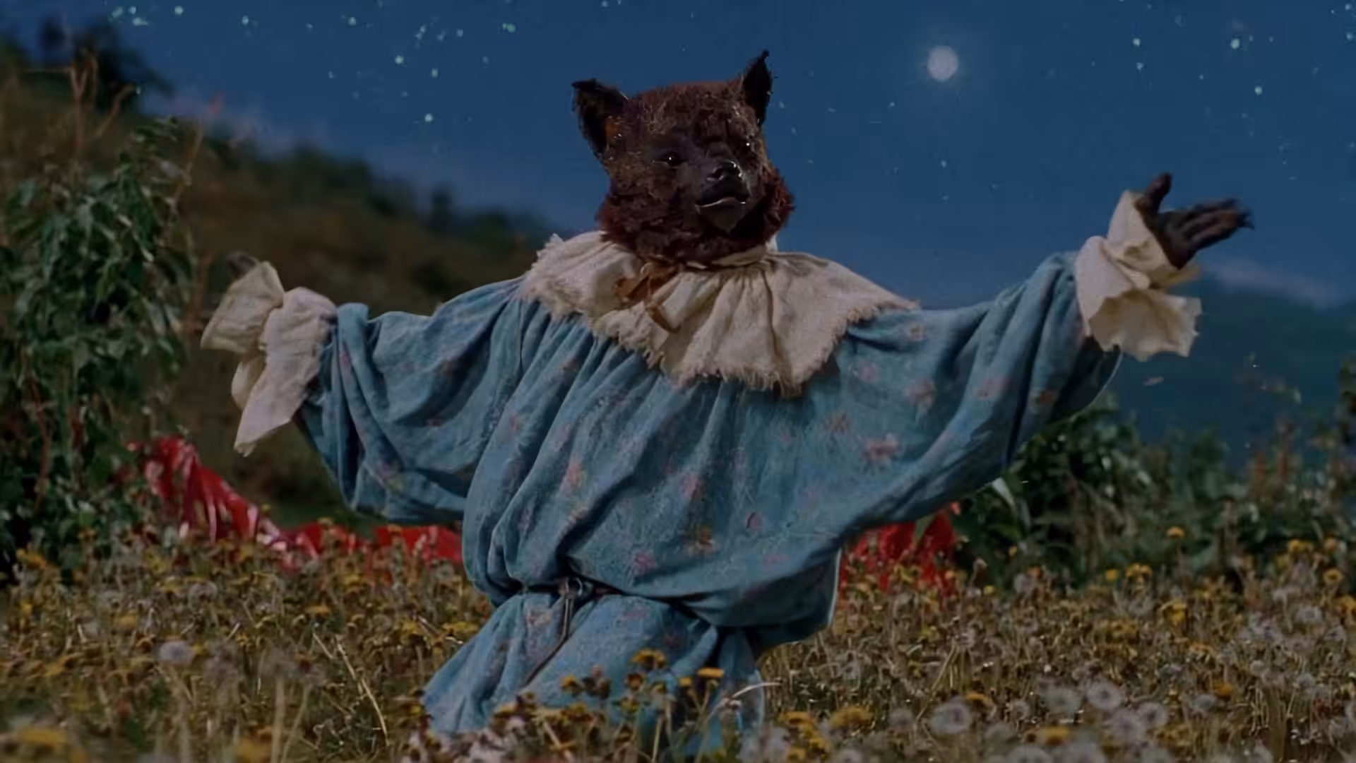 Dancing with Bees
