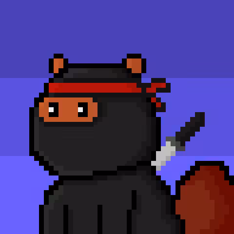 Ninja Arthur