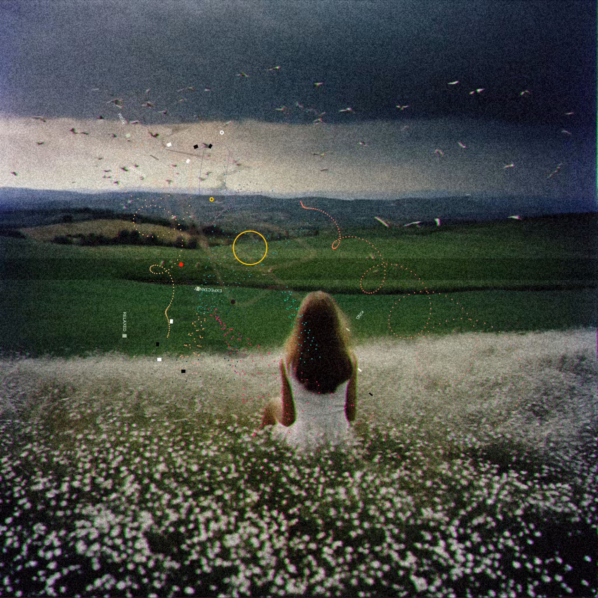 #115