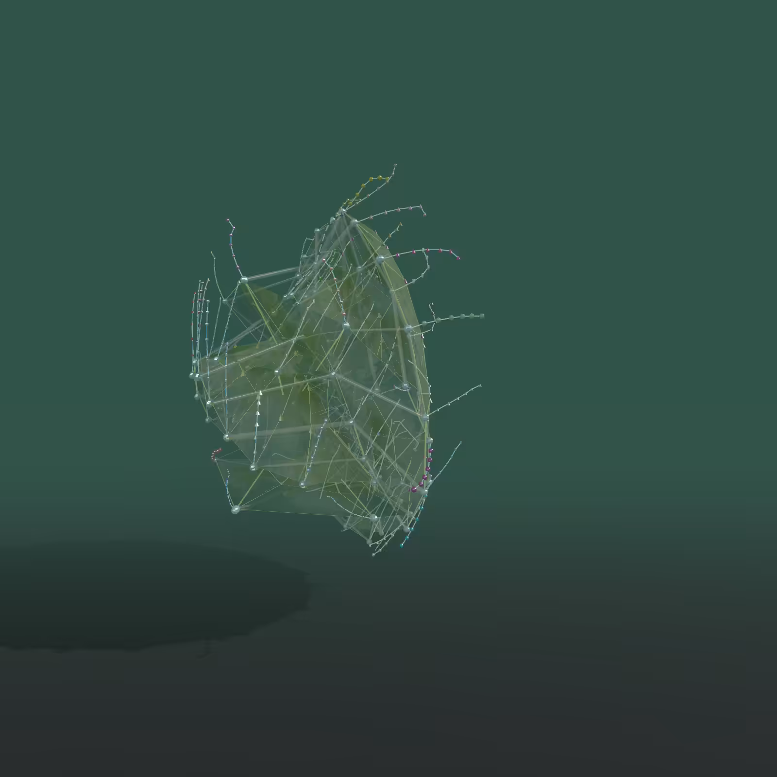ProtoByte: Scyphozoa.01 #245