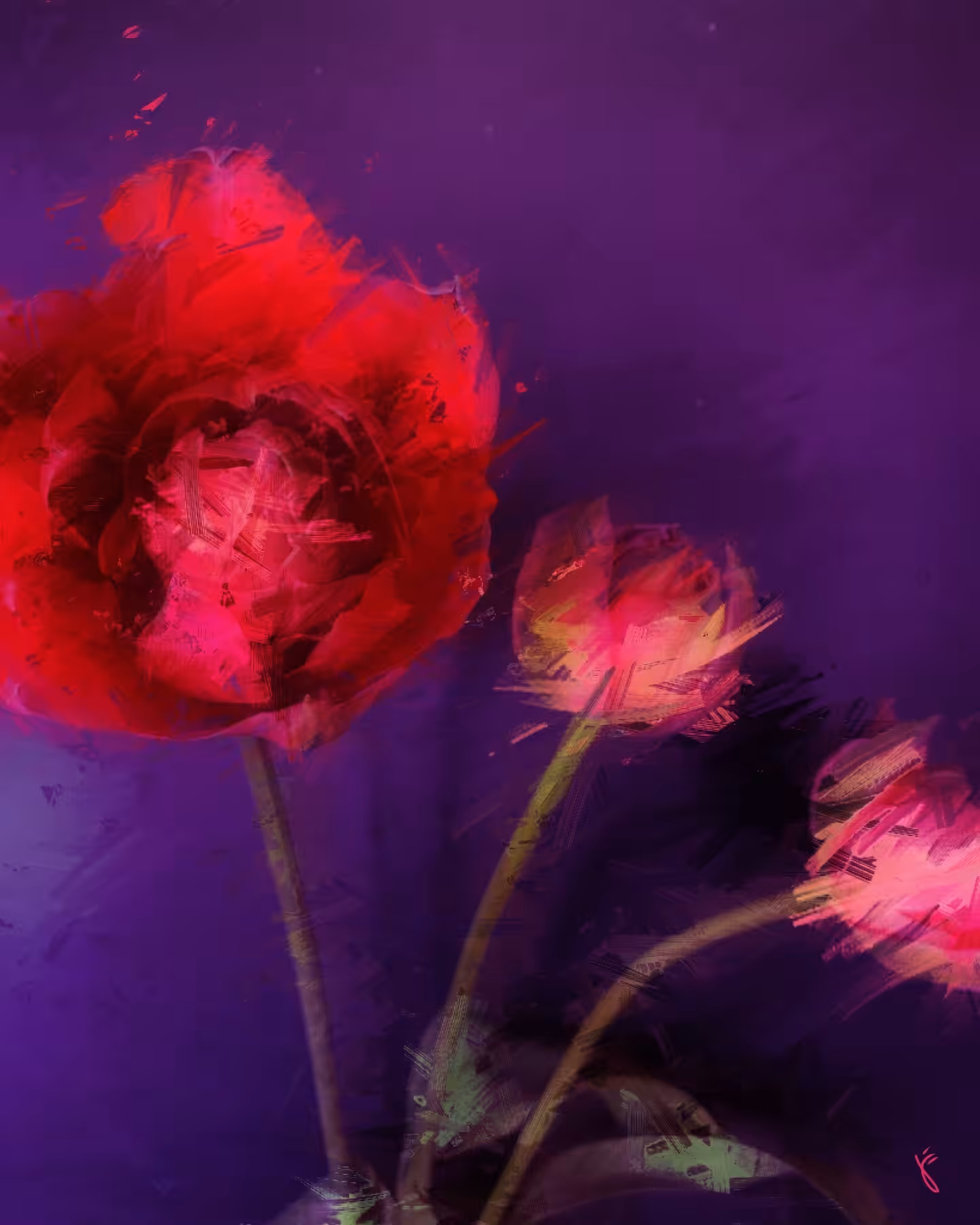 Tulip Abstract