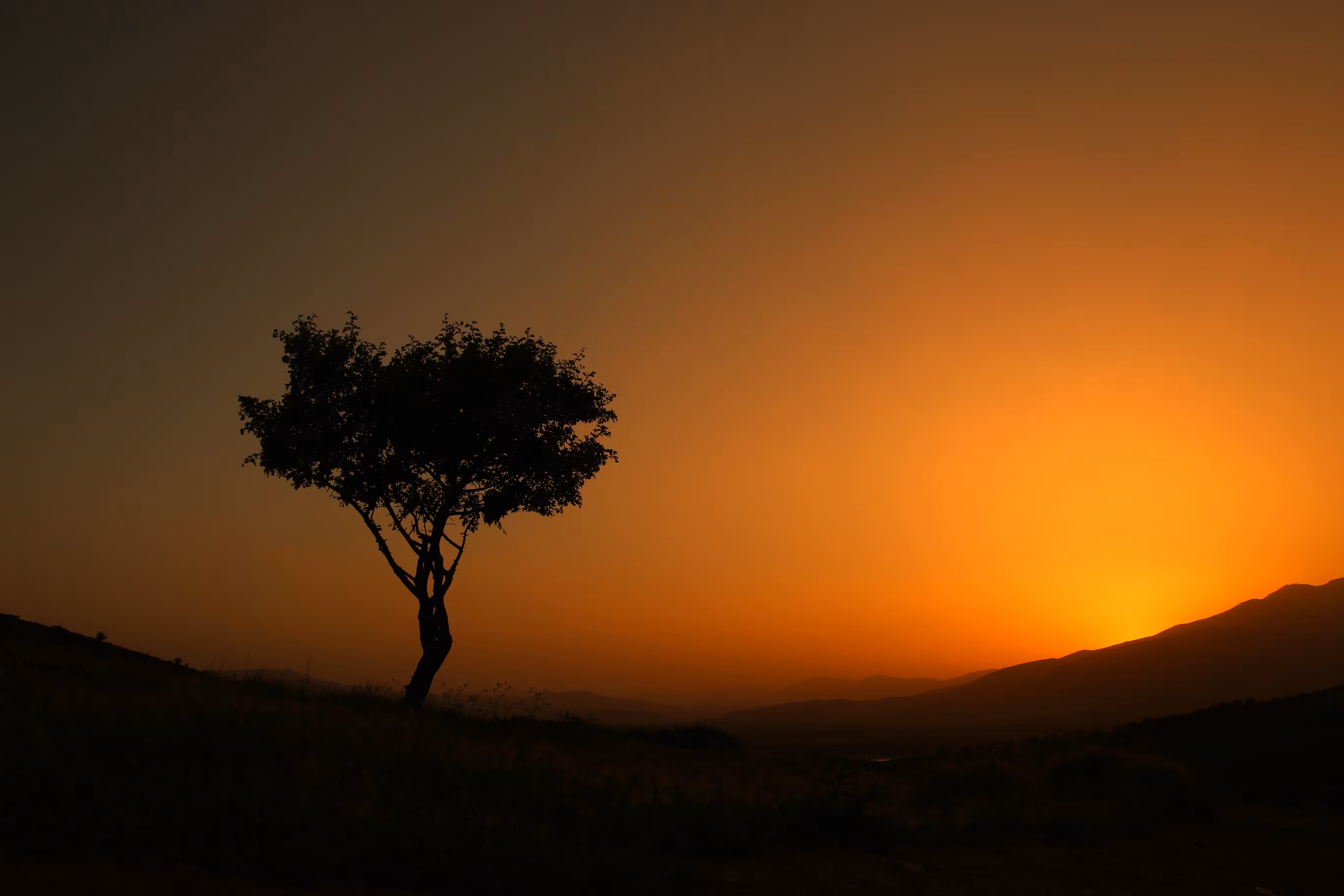 Loneliness and Sunset