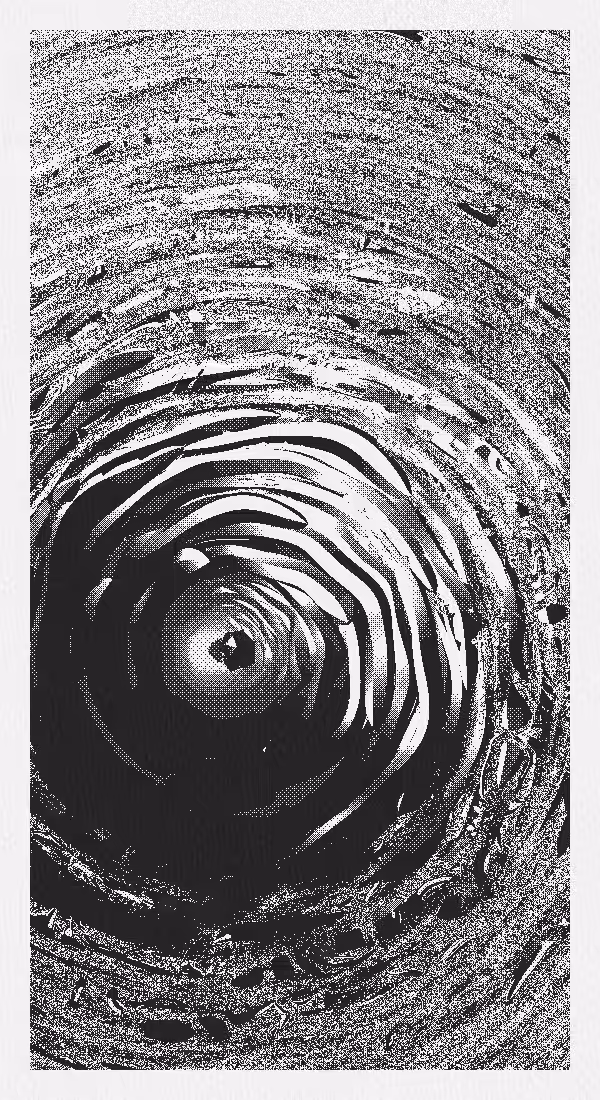 the rifle’s spiral #2