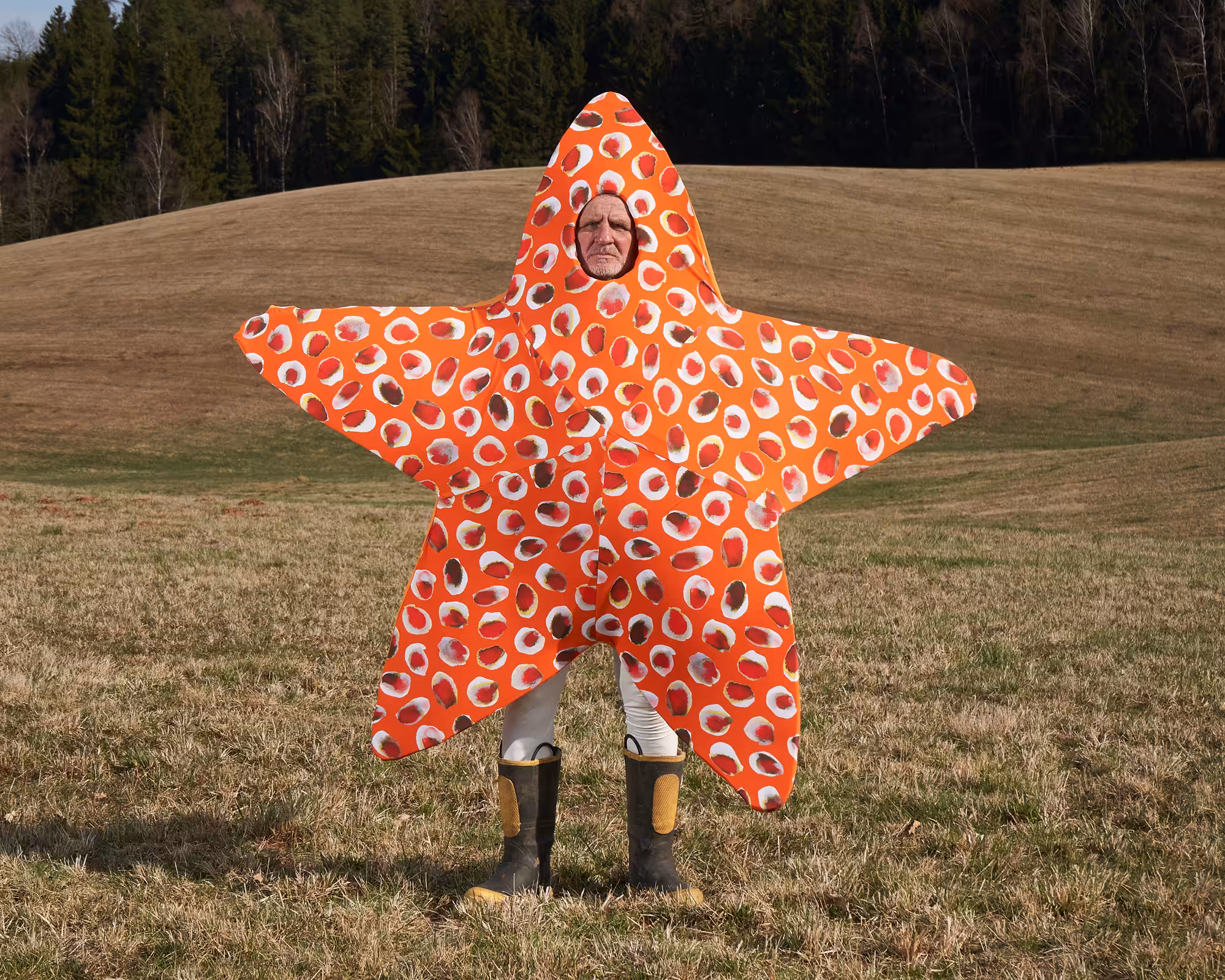 Happy Starfish