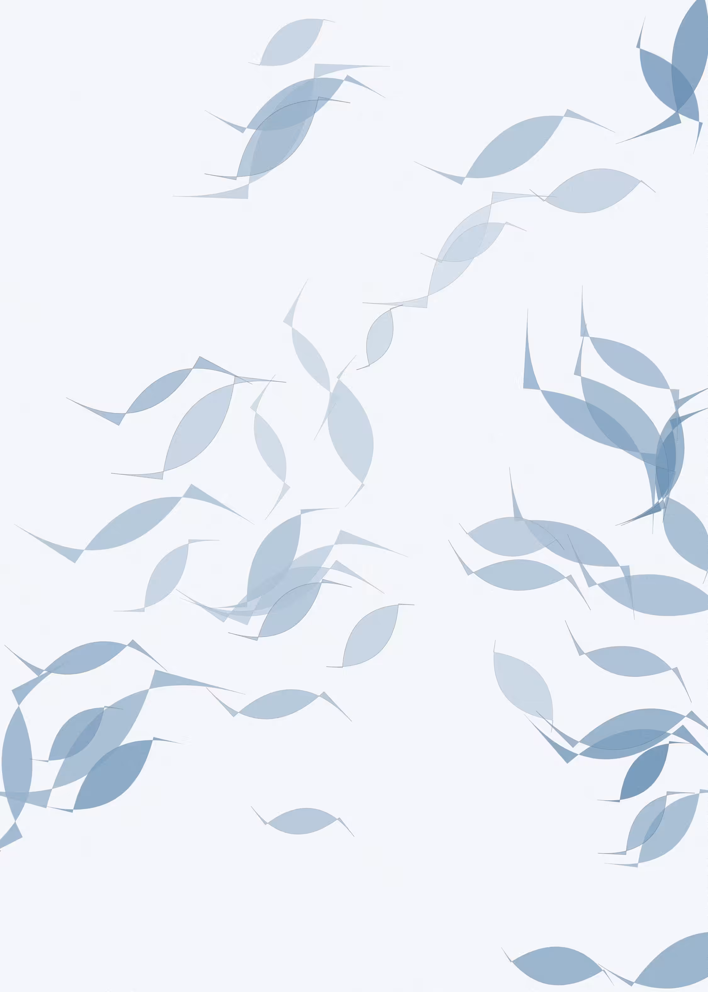 FLOW: Flow #133