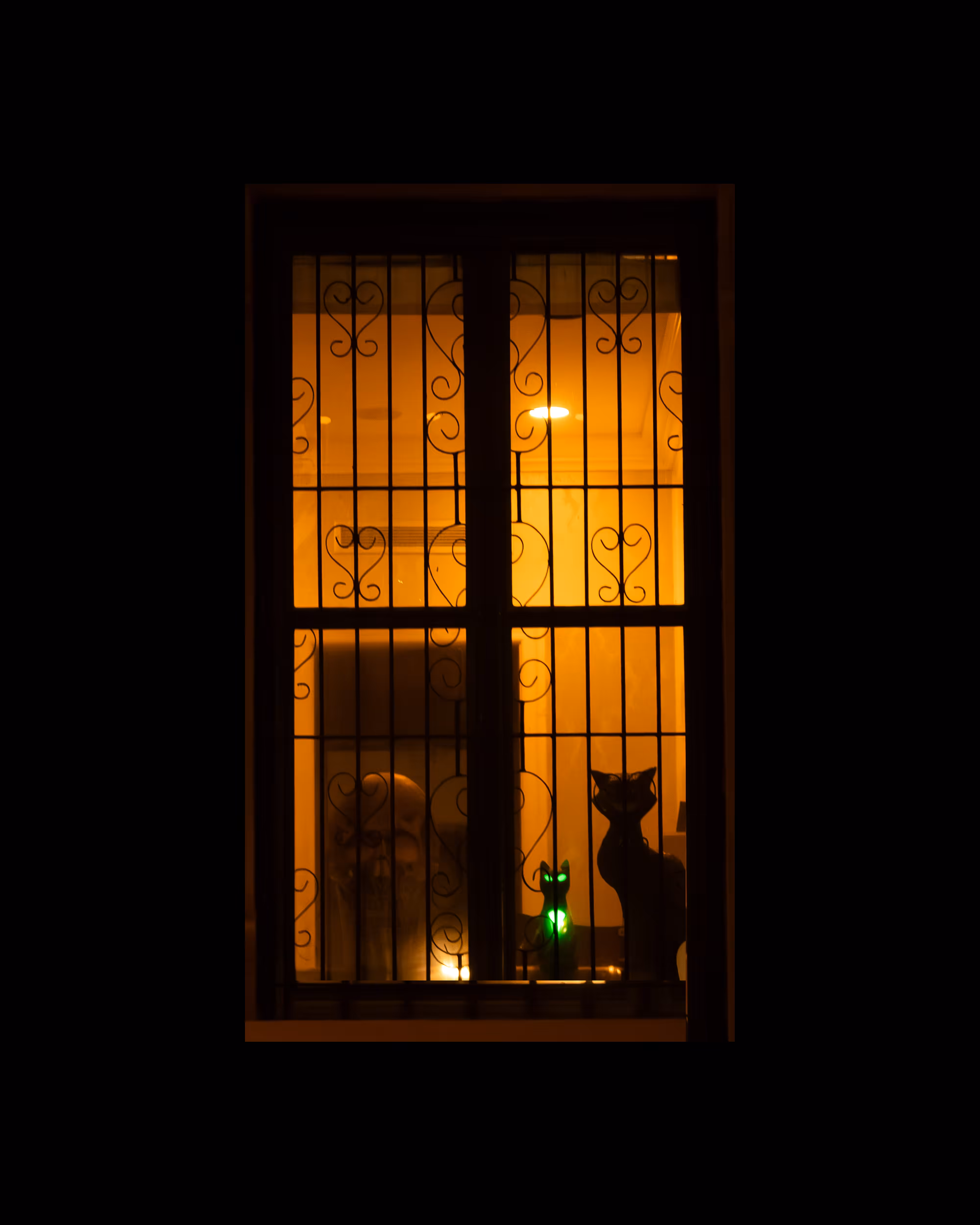 WINDOWS // NYC: WINDOW 603