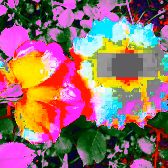 censored ii