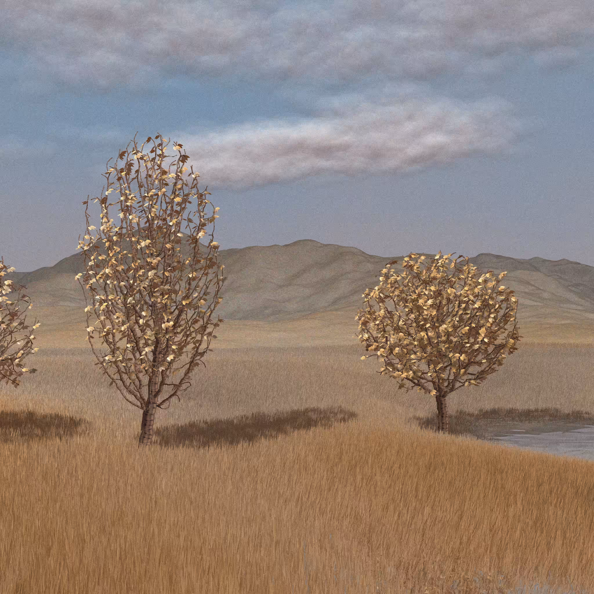 Landscapes out of my mind #44