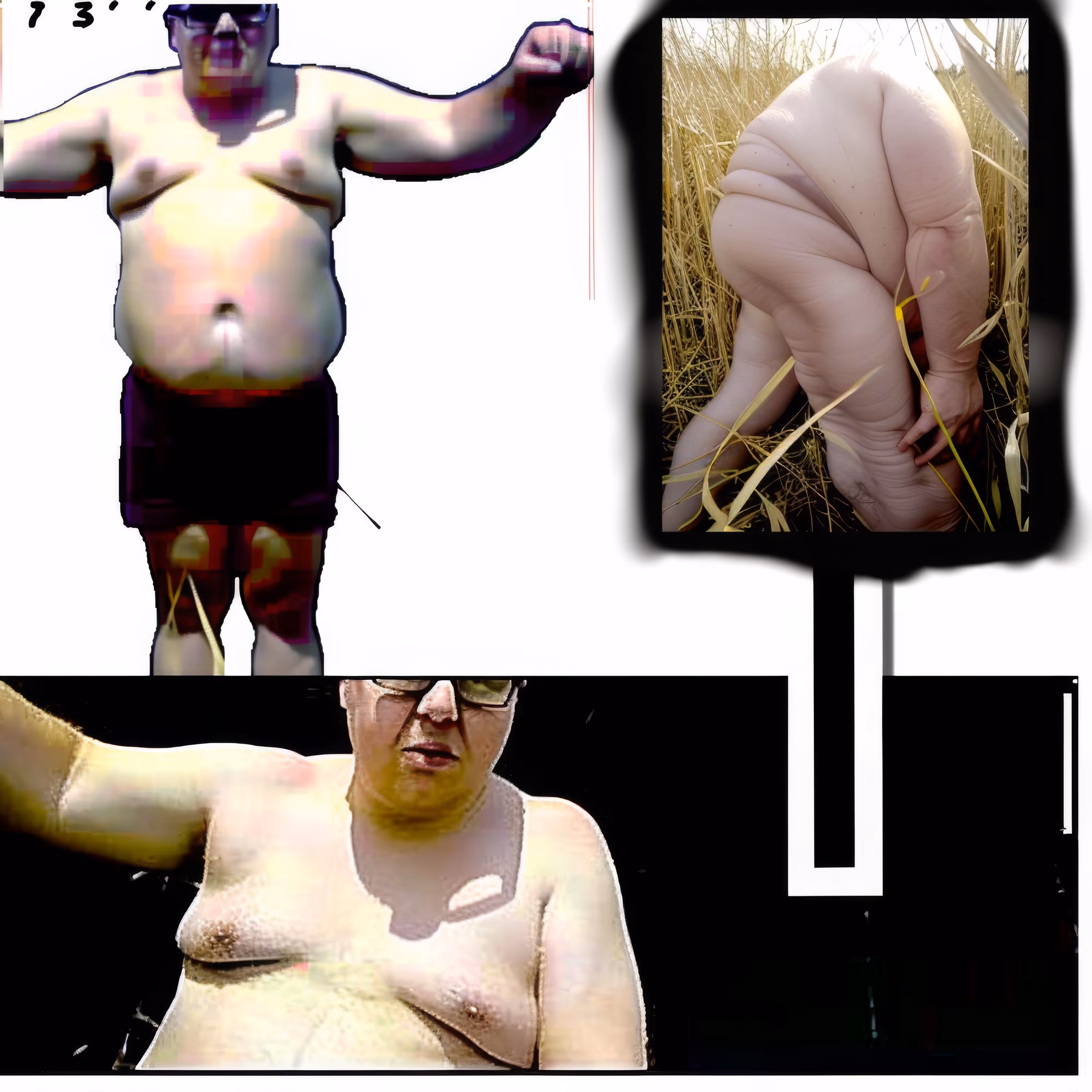 BAD JPEGs: Elephant-Man