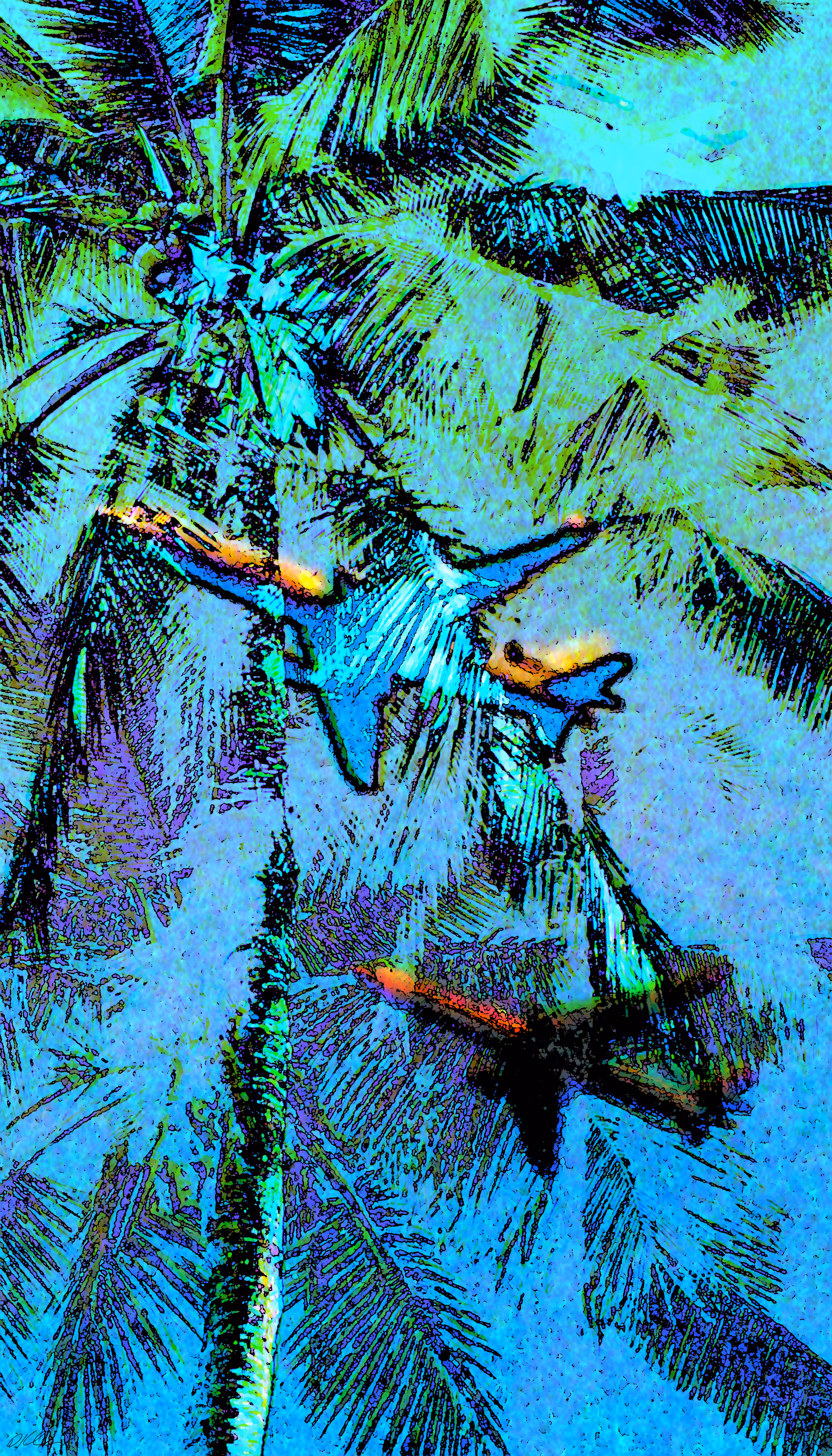 airplanes and palm trees II