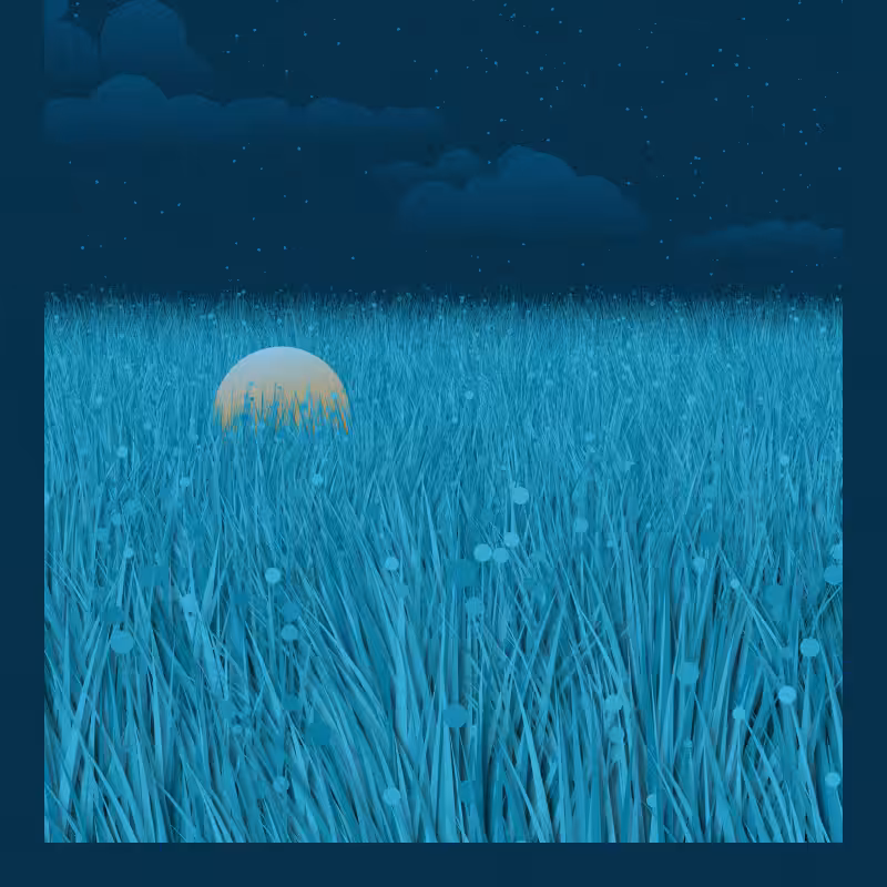 Garden of the Universe #222