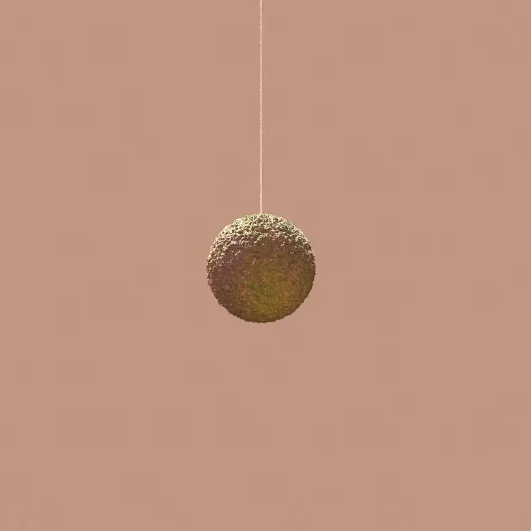 KOKEDAMA 21