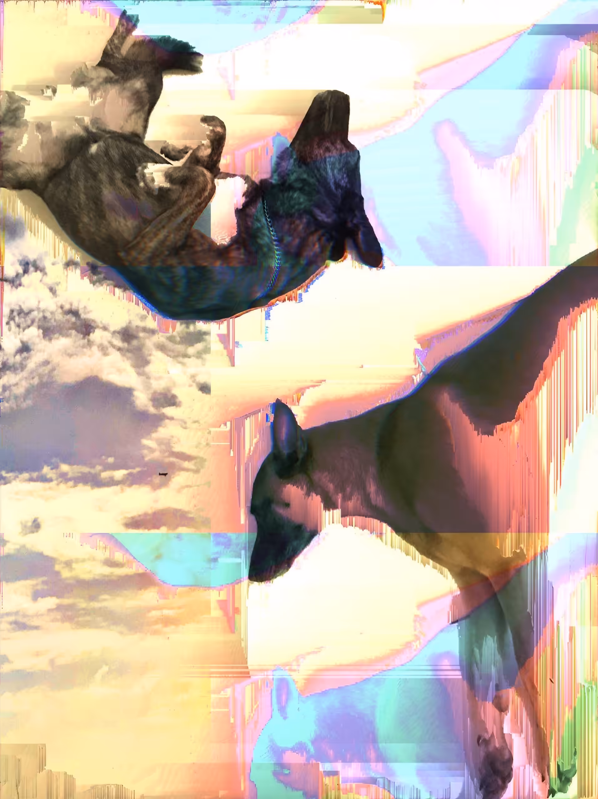 ੮૦ɱ૦ՐՐ૦ω ɿς ค Ո૯ω ძคע
