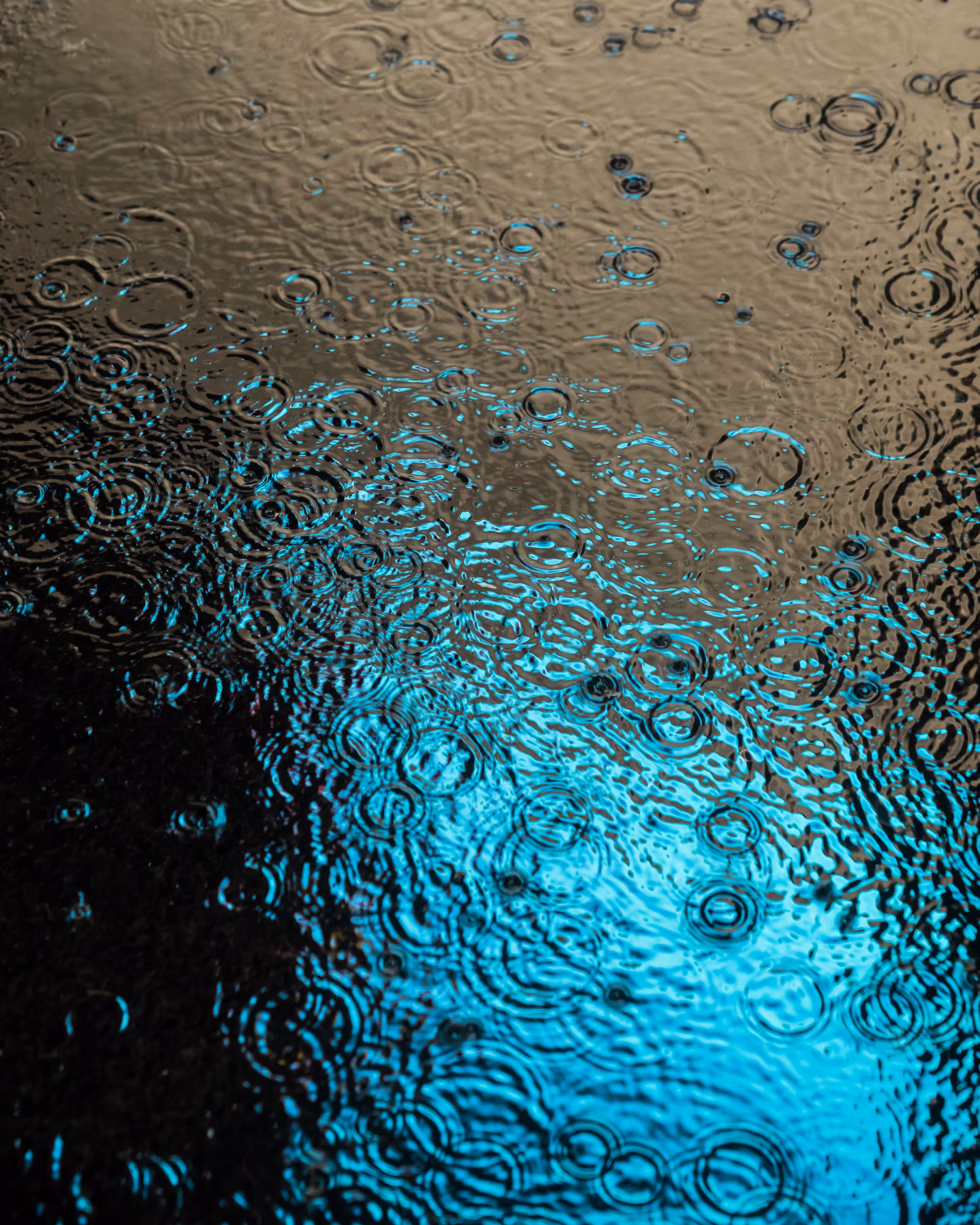 DRIP DROP: DRIP #976