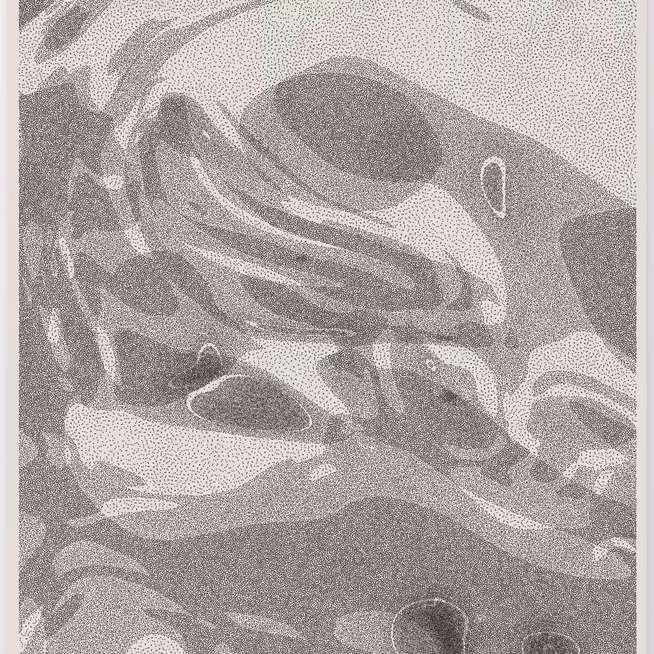 Caustics #120