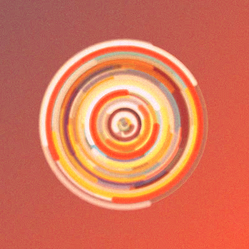 Wisp #511