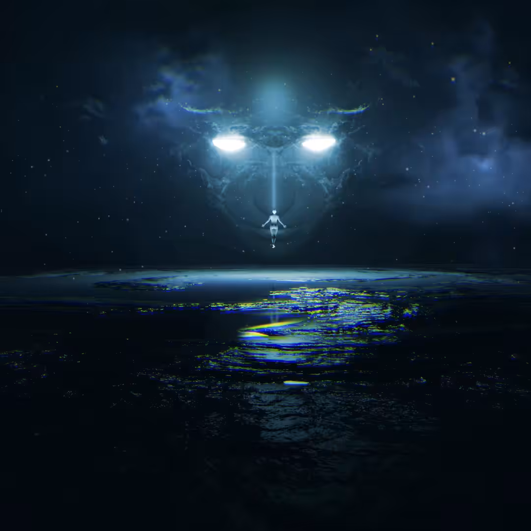 ABDUCTION 00